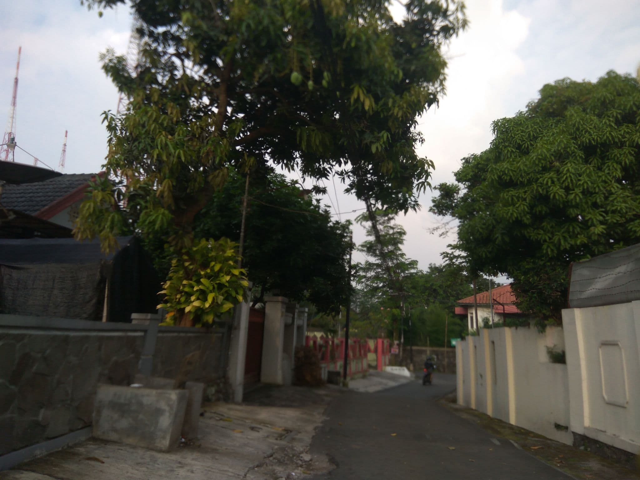 Street view near Swiss-bellin Kristal, Kupang, NTT, Semarang — © nicolas_samosir (CC BY-SA · Mapillary)