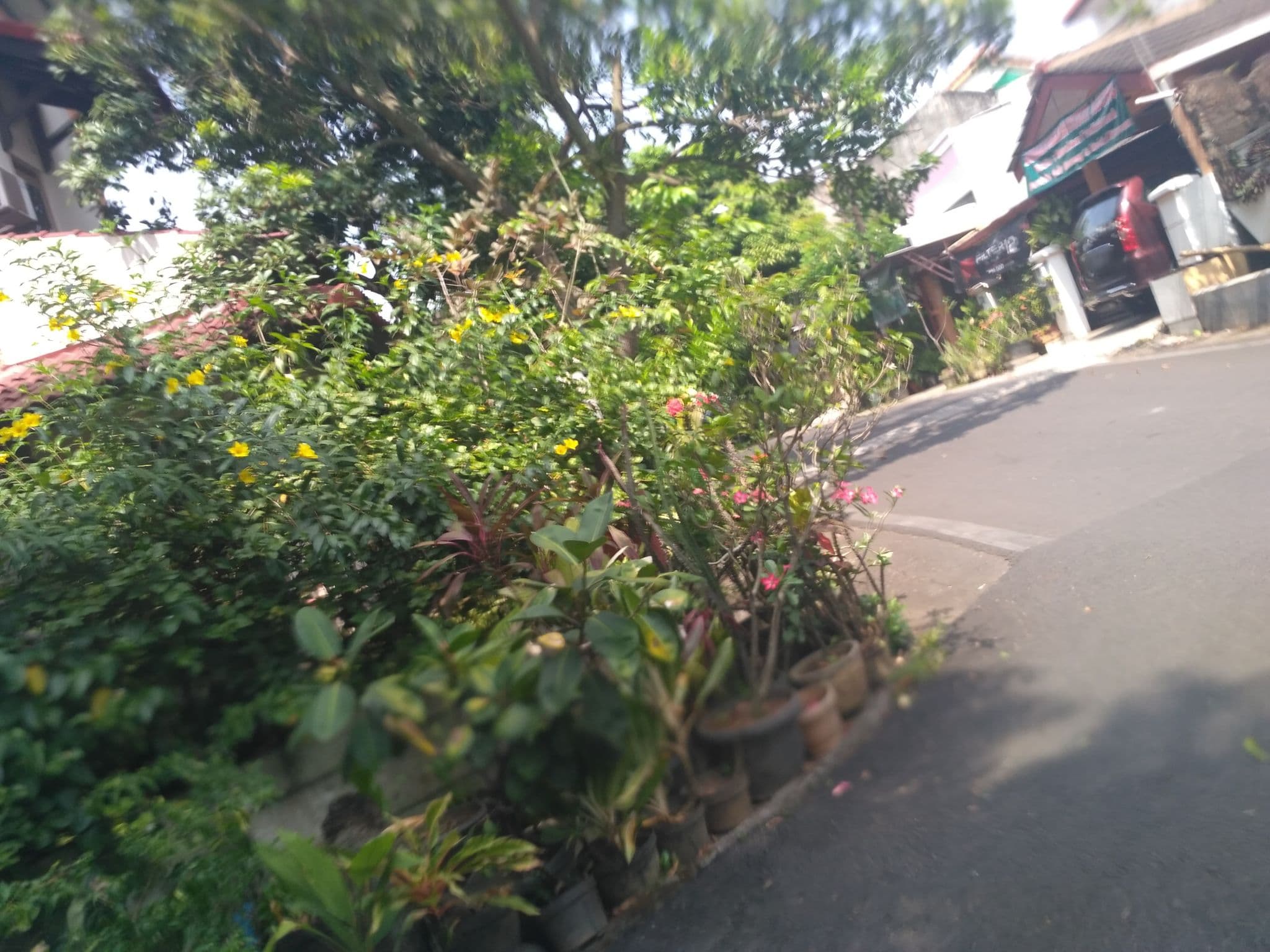 Street view near Simple Market ( S Mart - minimarket n guest house ), Semarang — © nicolas_samosir (CC BY-SA · Mapillary)