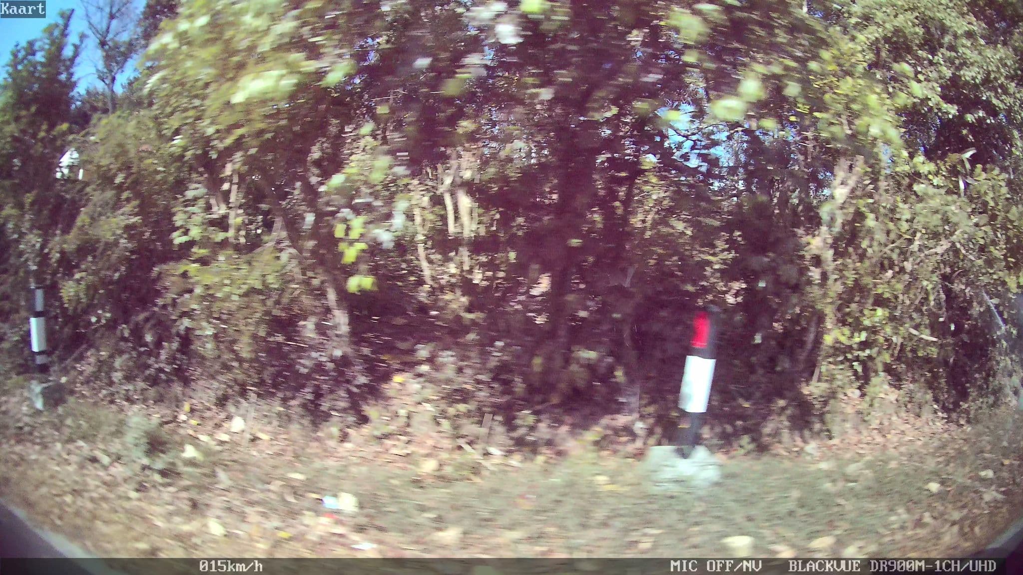Street view near Baku Kandik Homestay, Jimbaran — © kaart_2 (CC BY-SA · Mapillary)
