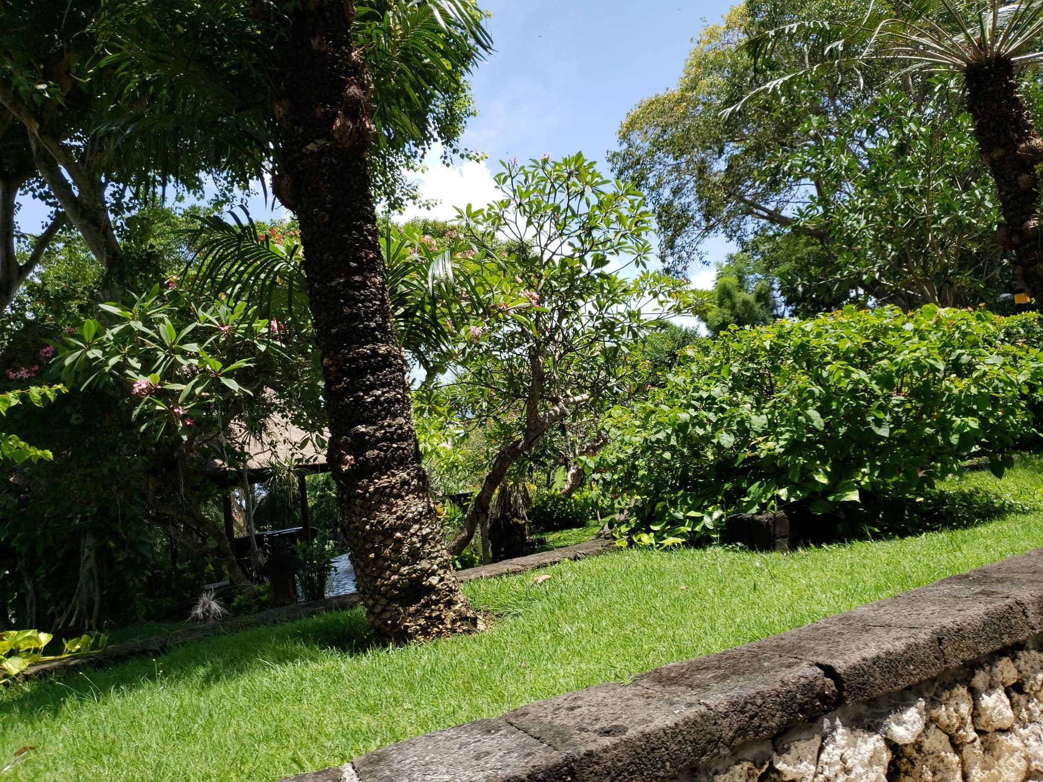 Street view near Del Cielo Hotel, Jimbaran — © mapfool (CC BY-SA · Mapillary)