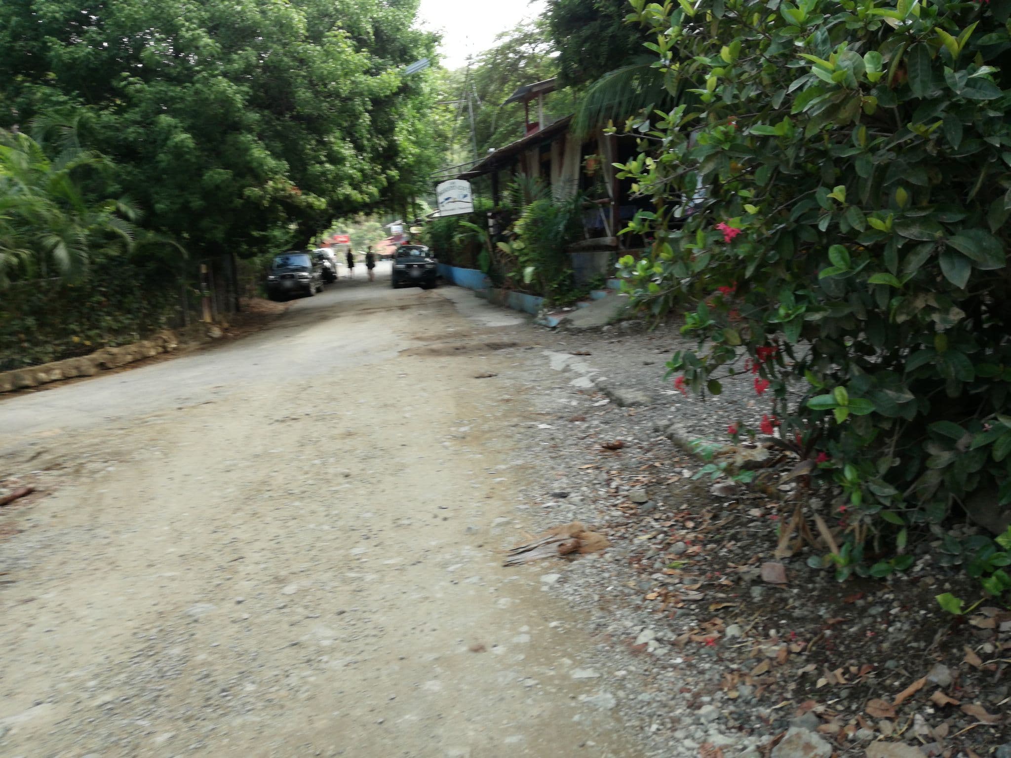 Street view near Luz De Mono, Paquera