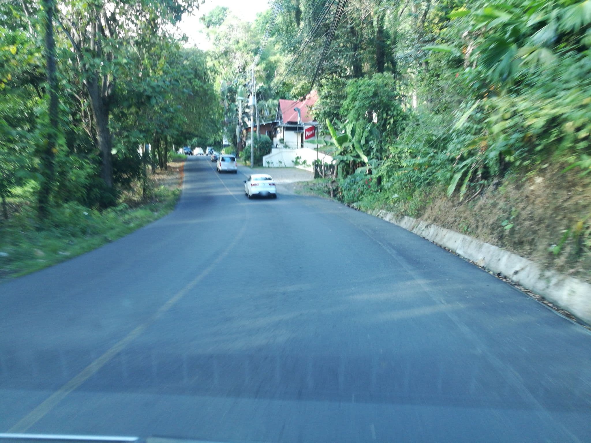 Street view near Tabulia Tree, Quepos