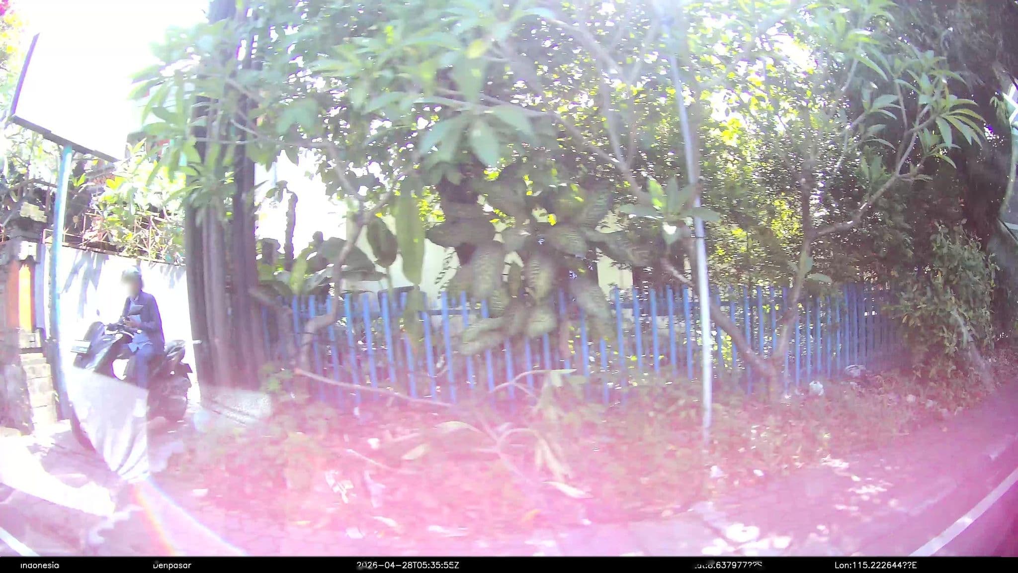 Street view near Hotel Dwi Karya, Denpasar — © Kaart---RIGHT (CC BY-SA · Mapillary)
