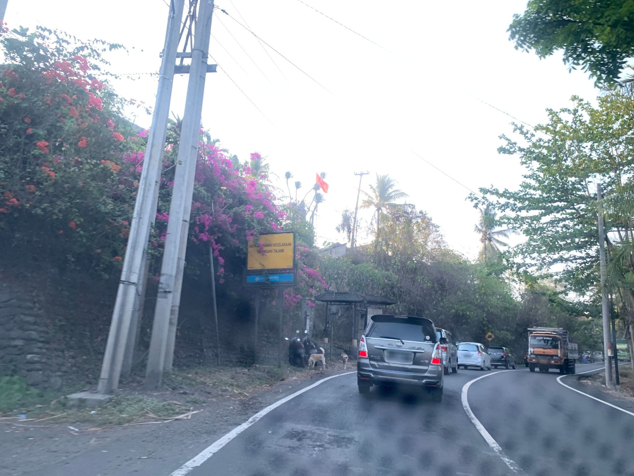 Street view near Shankari's Bali Retreat, Sukawati — © chhe (CC BY-SA · Mapillary)