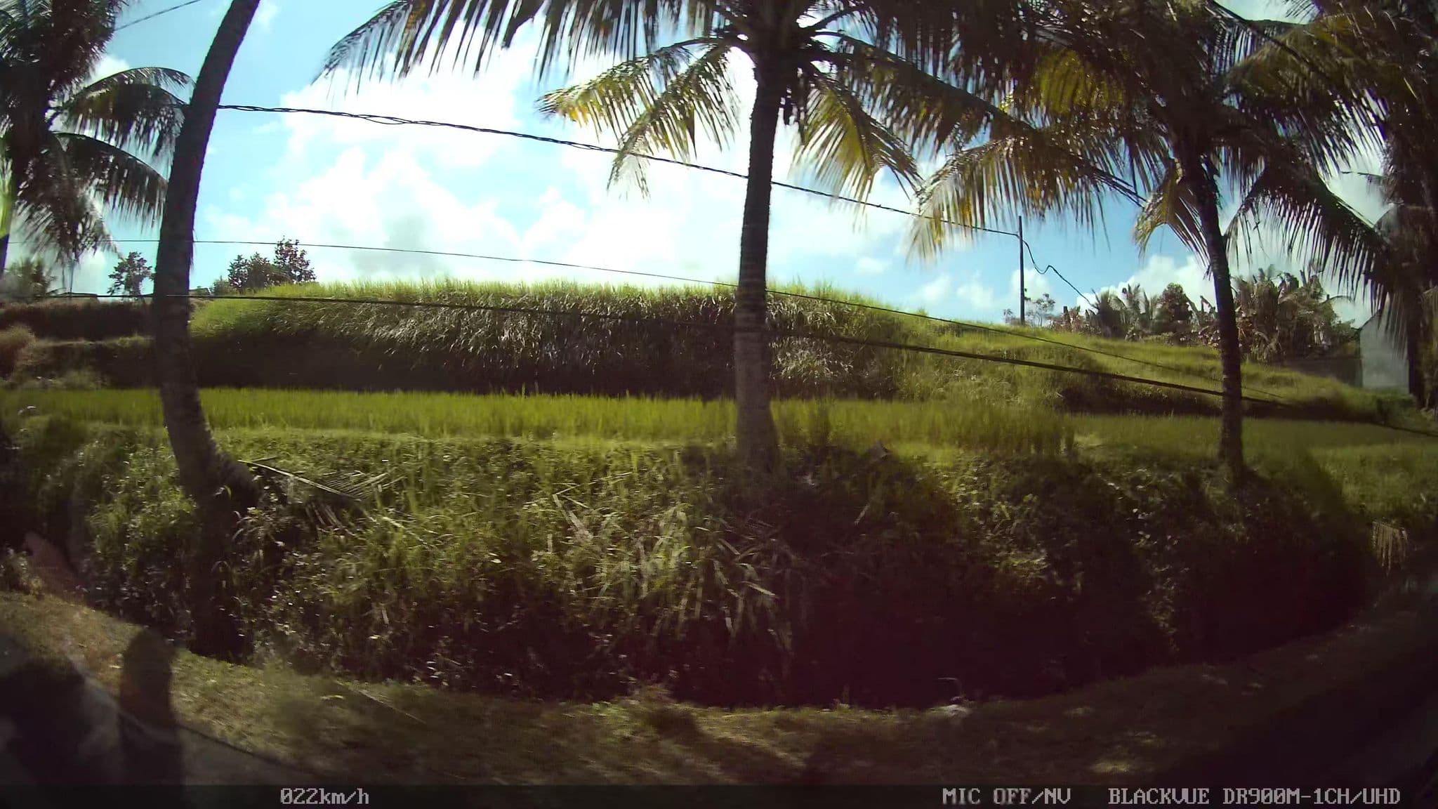 Street view near ancut sari guest house, Ubud — © kaart_1 (CC BY-SA · Mapillary)