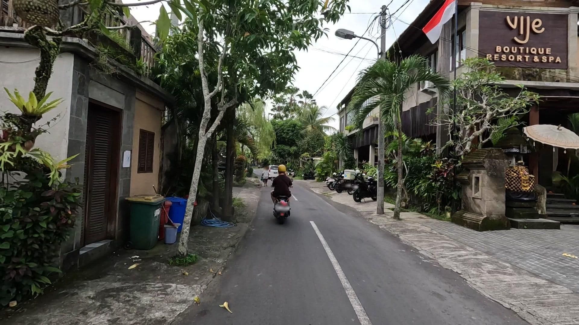 Street view near Karang Lila Bhuana Ubud, Ubud — © lucomsky (CC BY-SA · Mapillary)