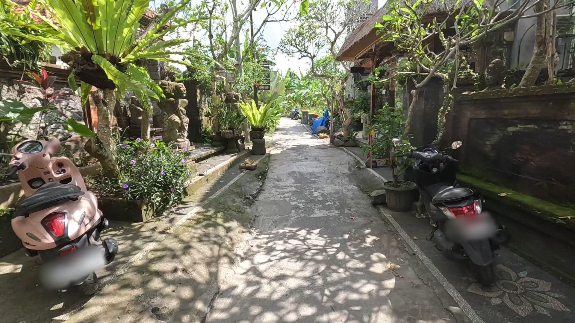 Street view near Ayu Sari, Ubud — © lucomsky (CC BY-SA · Mapillary)