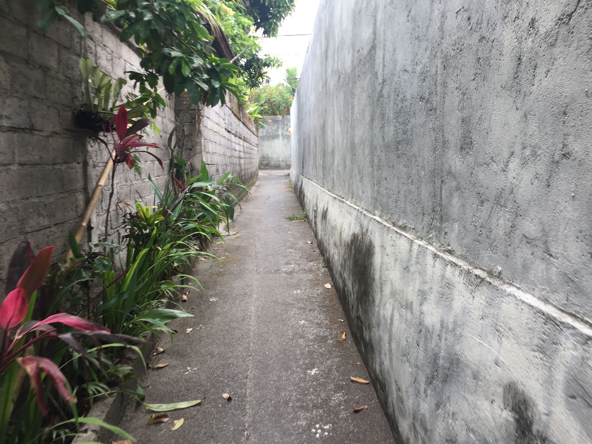 Street view near Villa Wayan, Ubud — © nickp (CC BY-SA · Mapillary)
