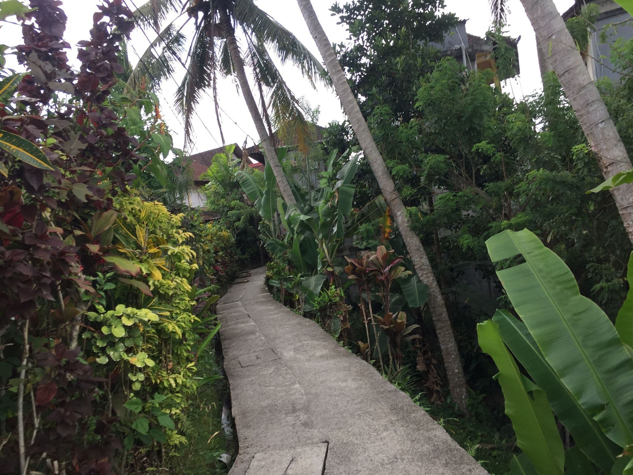 Street view near Villa Samua Suka, Ubud — © nickp (CC BY-SA · Mapillary)