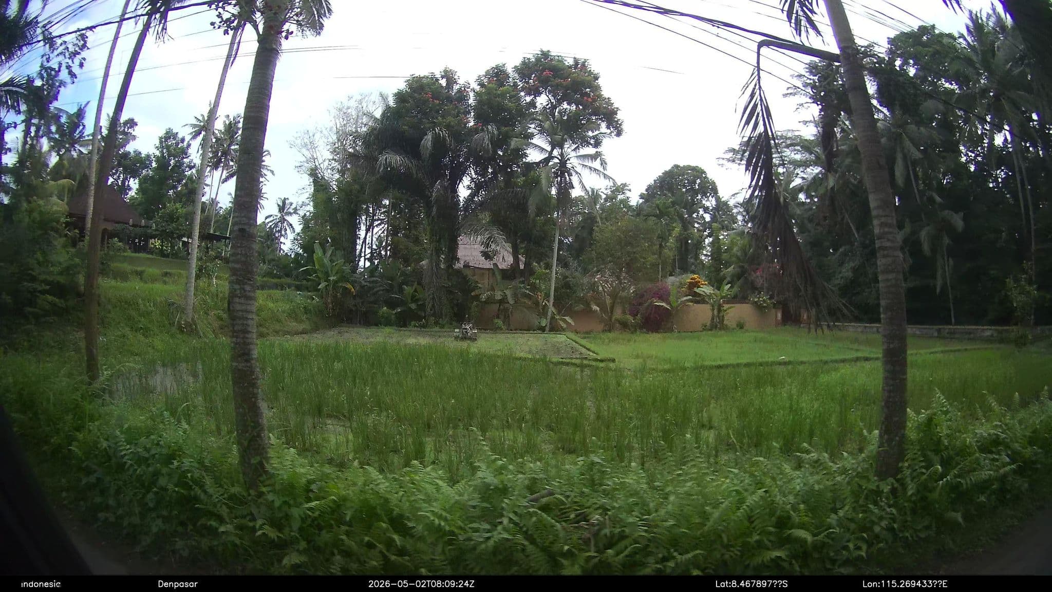 Street view near Ananda Dara Ubud, Ubud — © Kaart---RIGHT (CC BY-SA · Mapillary)