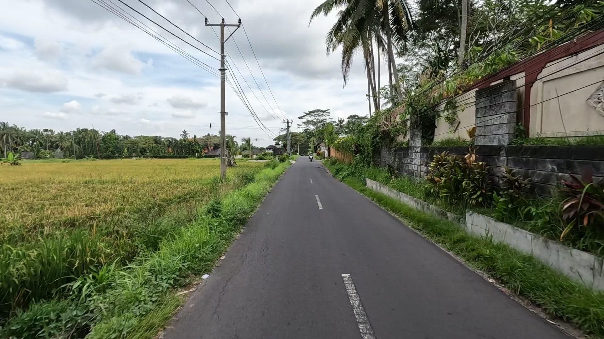 Street view near Amavi, Ubud — © lucomsky (CC BY-SA · Mapillary)