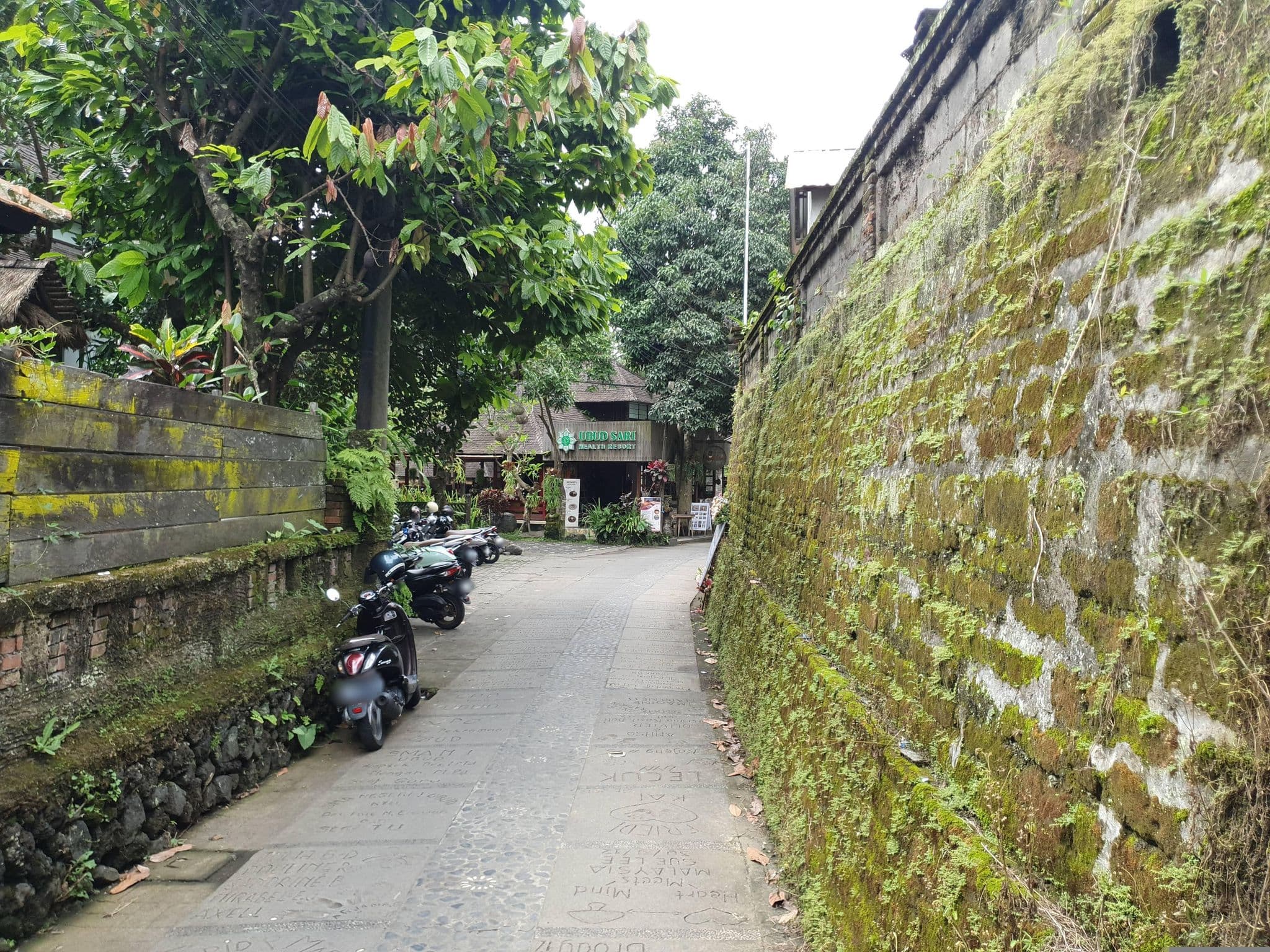 Street view near Kajeng Bungalows, Ubud — © russmcd (CC BY-SA · Mapillary)