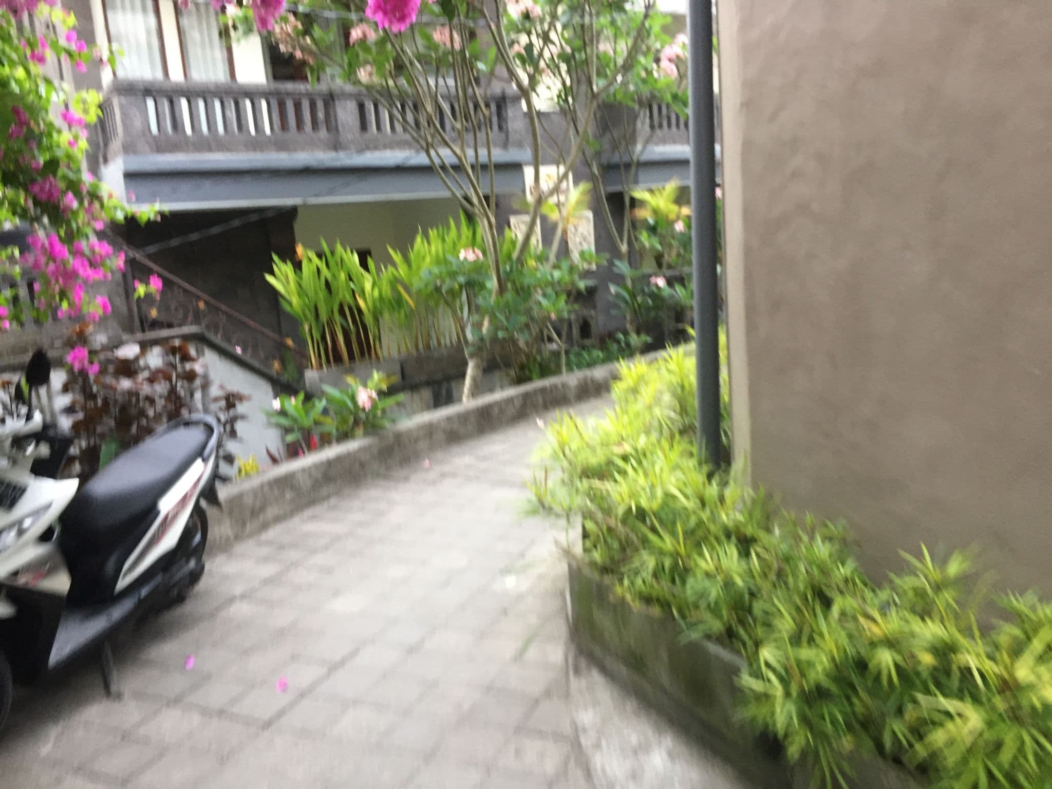 Street view near The Runik, Ubud — © nickp (CC BY-SA · Mapillary)