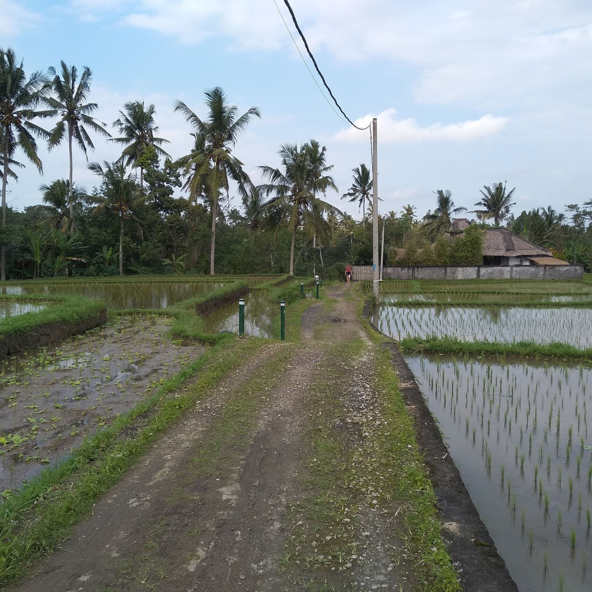 Street view near Kastara Resort, Ubud — © falk (CC BY-SA · Mapillary)