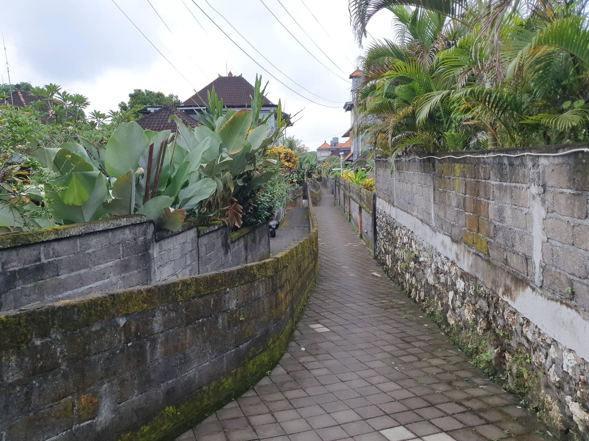 Street view near Pelangi 2, Ubud — © russmcd (CC BY-SA · Mapillary)