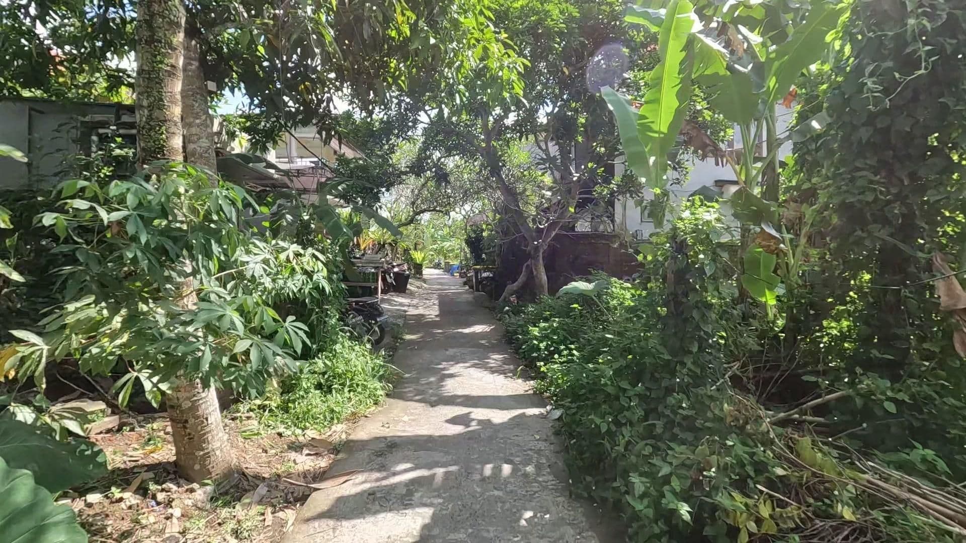 Street view near Kamol House, Ubud — © lucomsky (CC BY-SA · Mapillary)