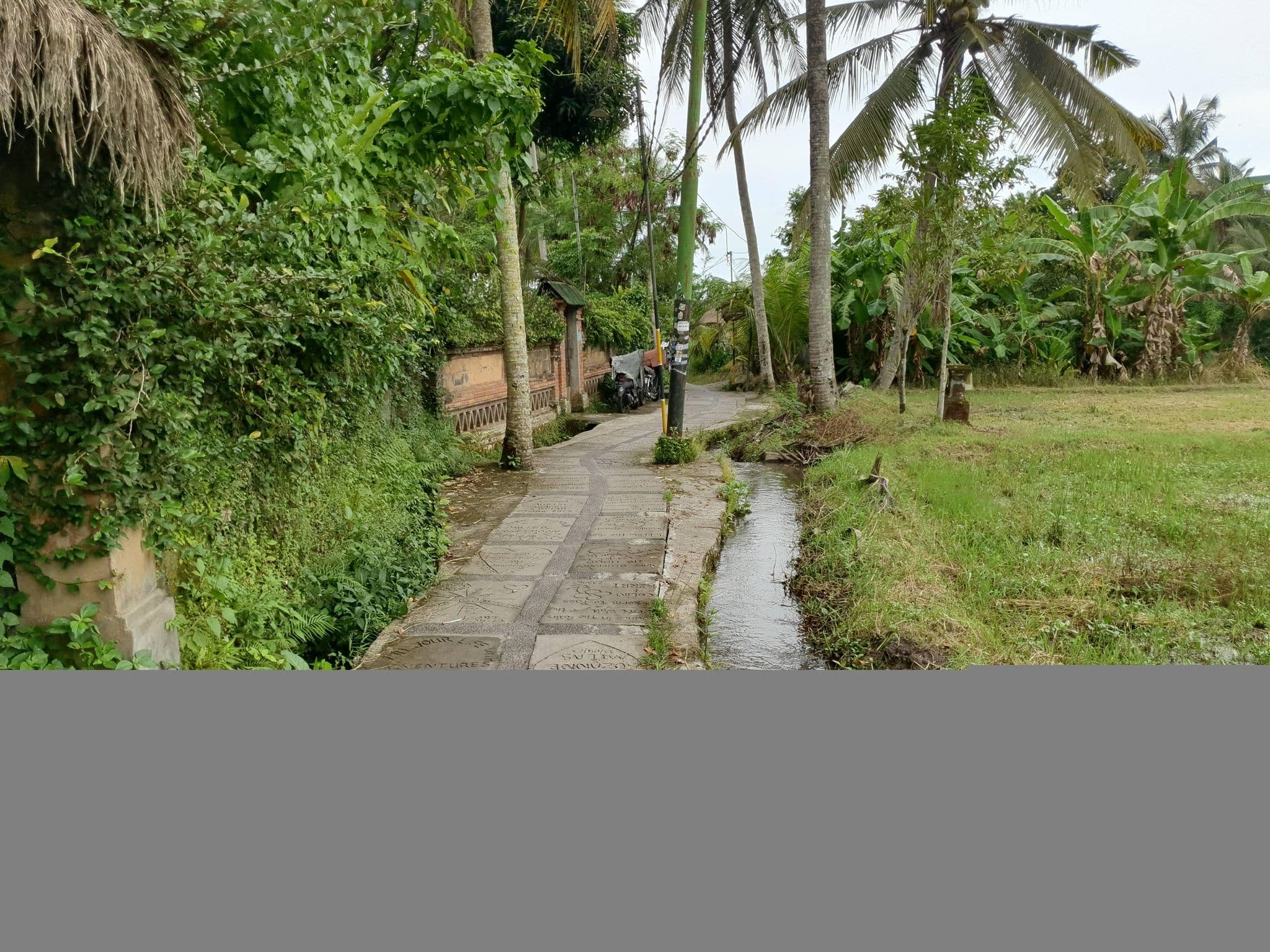 Street view near Puri Maerakaca, Ubud — © russmcd (CC BY-SA · Mapillary)