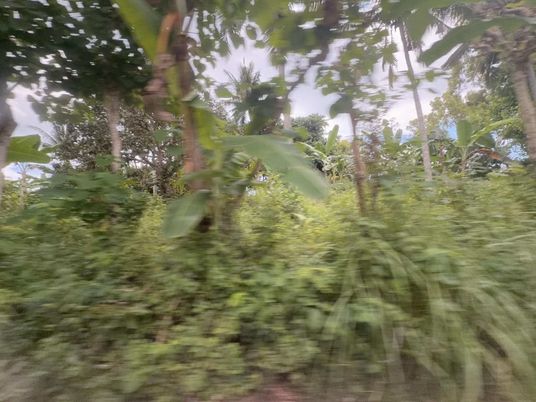 Street view near Ginanthi Cottage, Klungkung — © filipb (CC BY-SA · Mapillary)