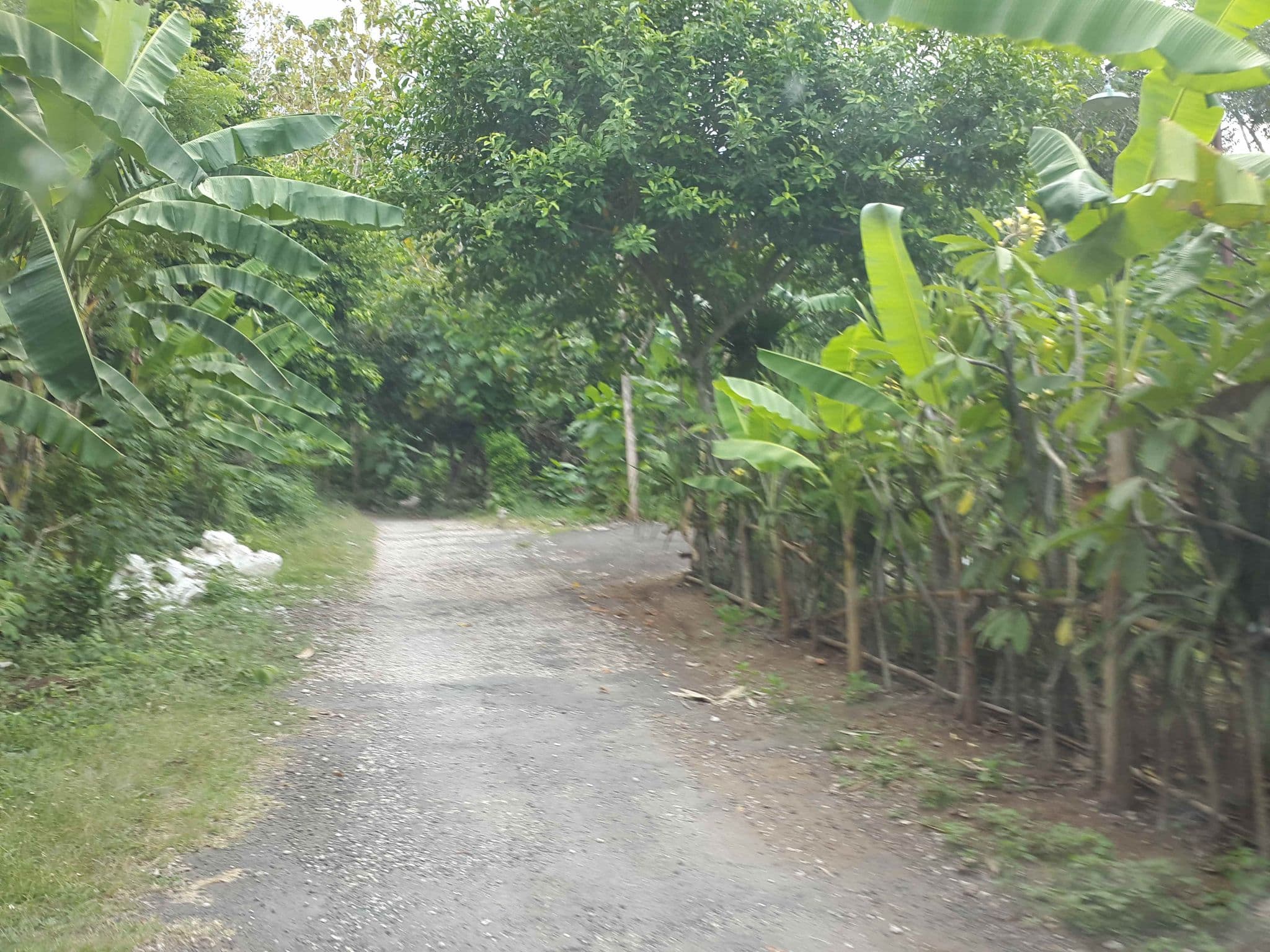 Street view near Green House Villa, Klungkung — © roadroid (CC BY-SA · Mapillary)