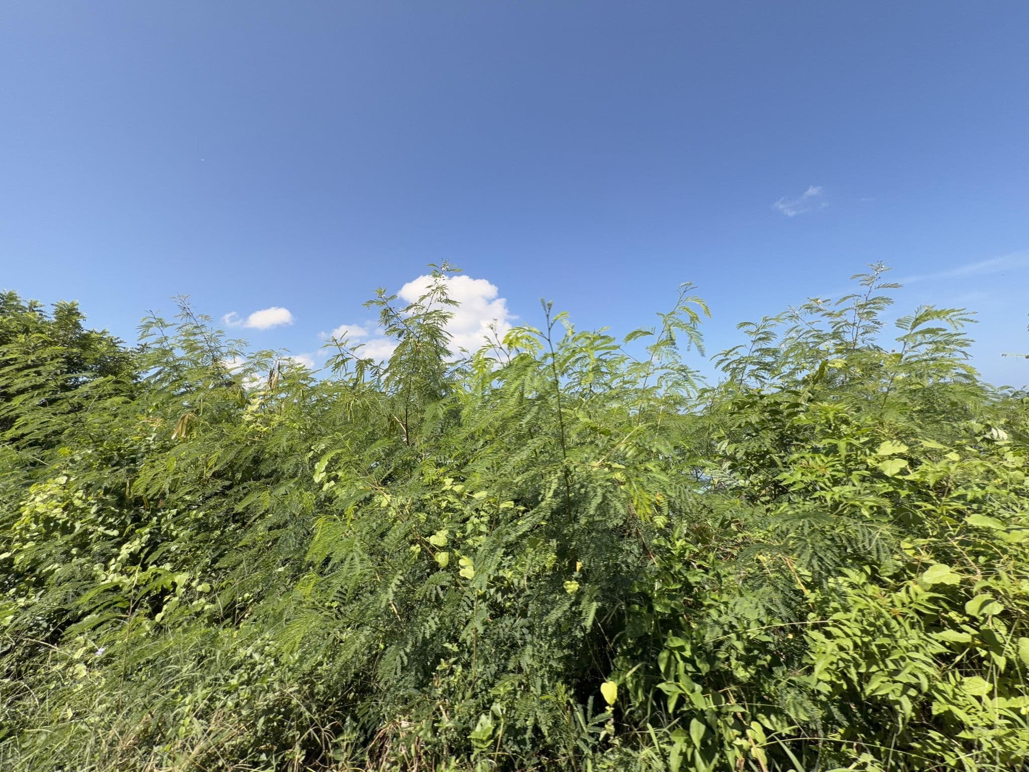 Street view near Pula Huts Lembongan, Klungkung — © filipb (CC BY-SA · Mapillary)