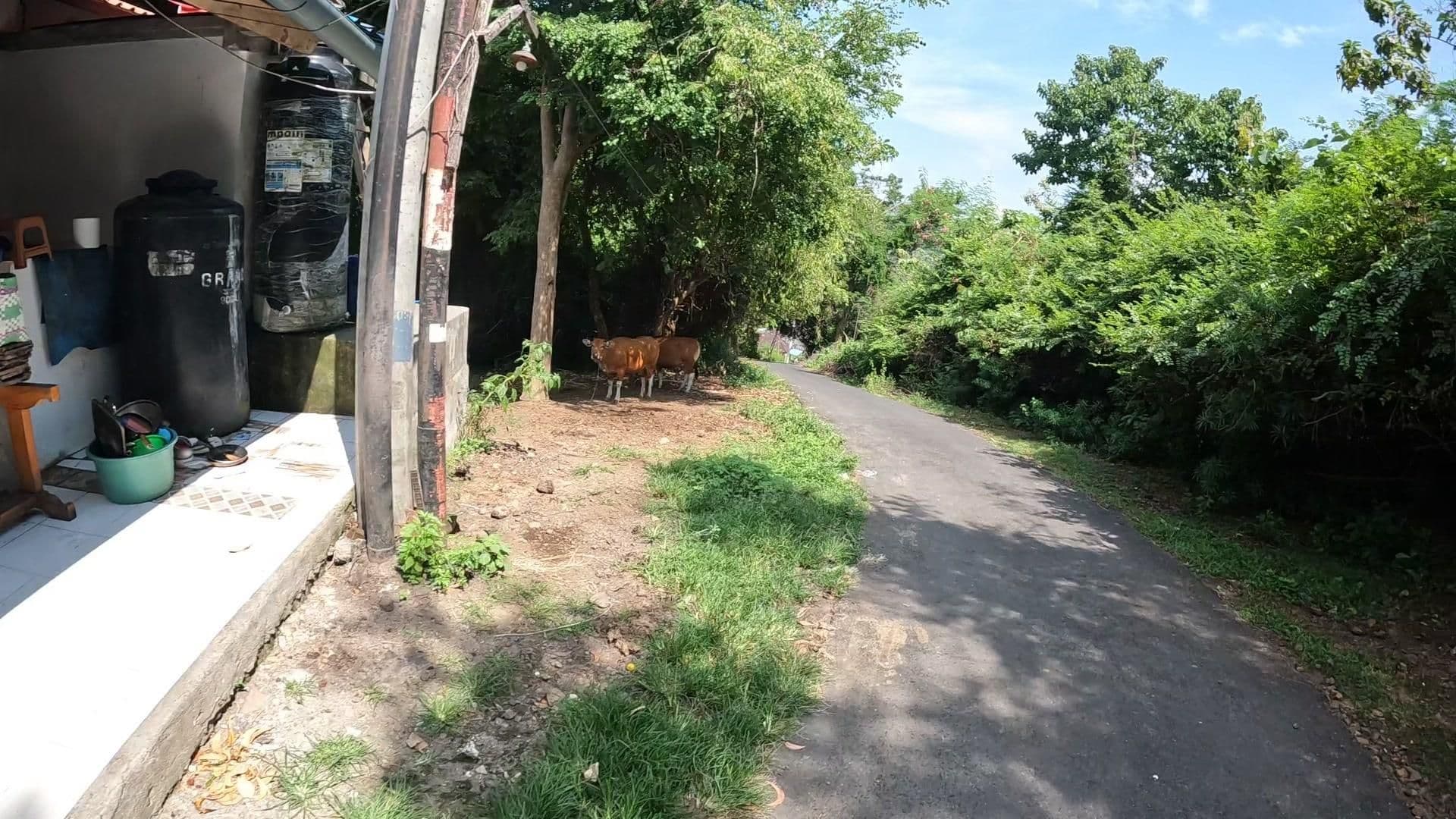 Street view near Villa Bliss, Banjar Wangsian — © lucomsky (CC BY-SA · Mapillary)