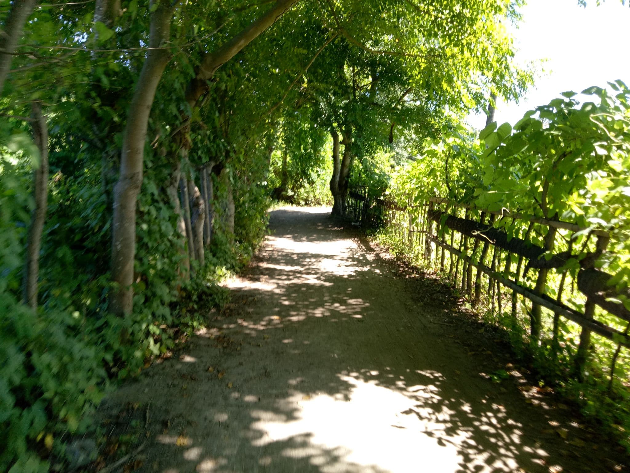 Street view near Camilla Resort, Gili Air — © tla (CC BY-SA · Mapillary)