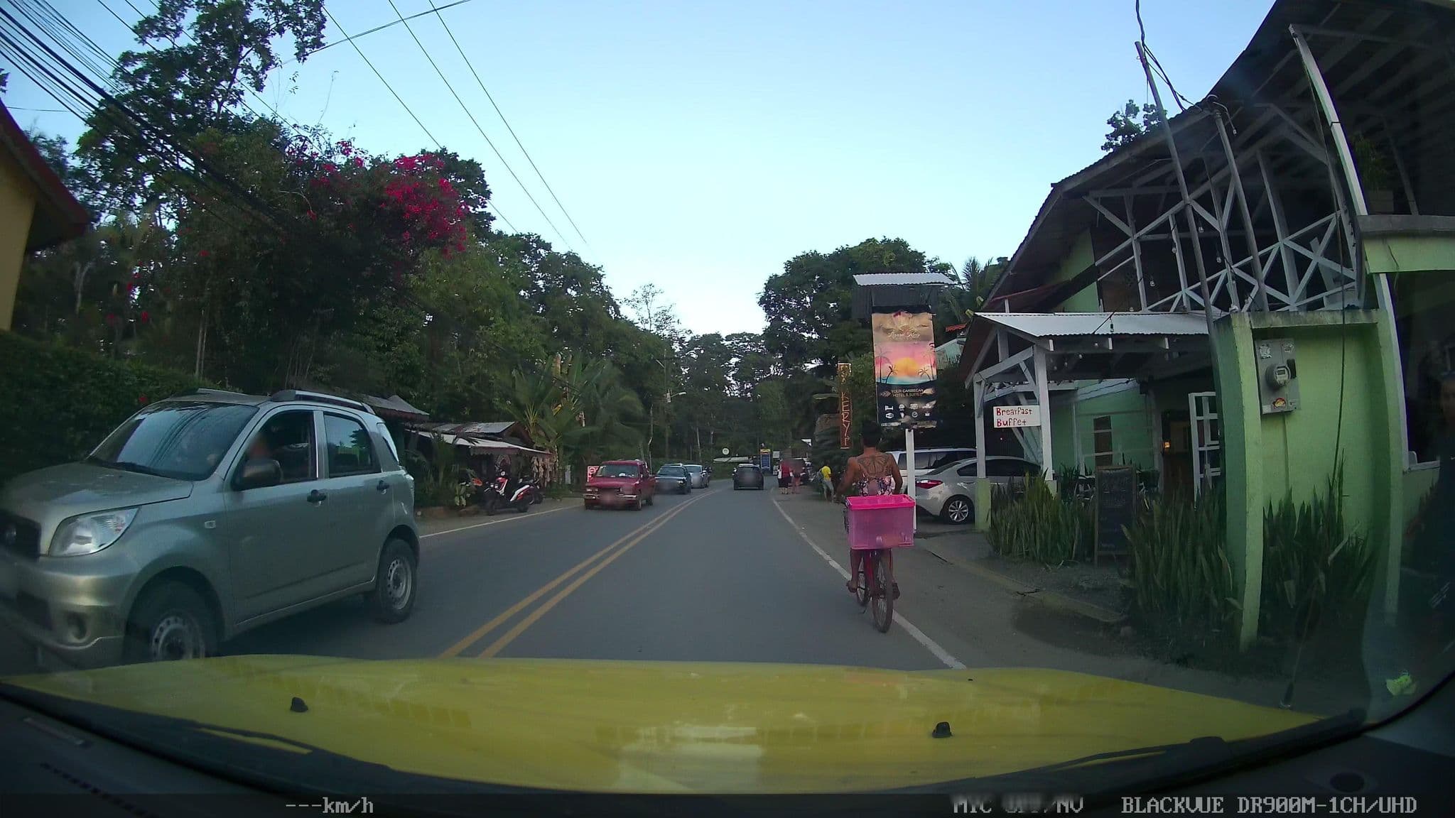Street view near Lizard King Resort, Sixaola — © josealb (CC BY-SA · Mapillary)