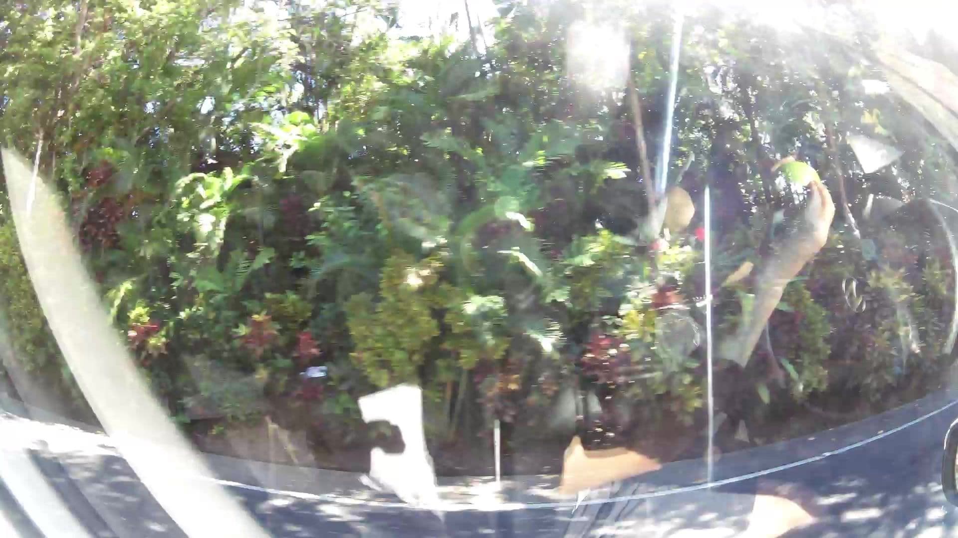 Street view near Recepcion Costa Verde, Quepos