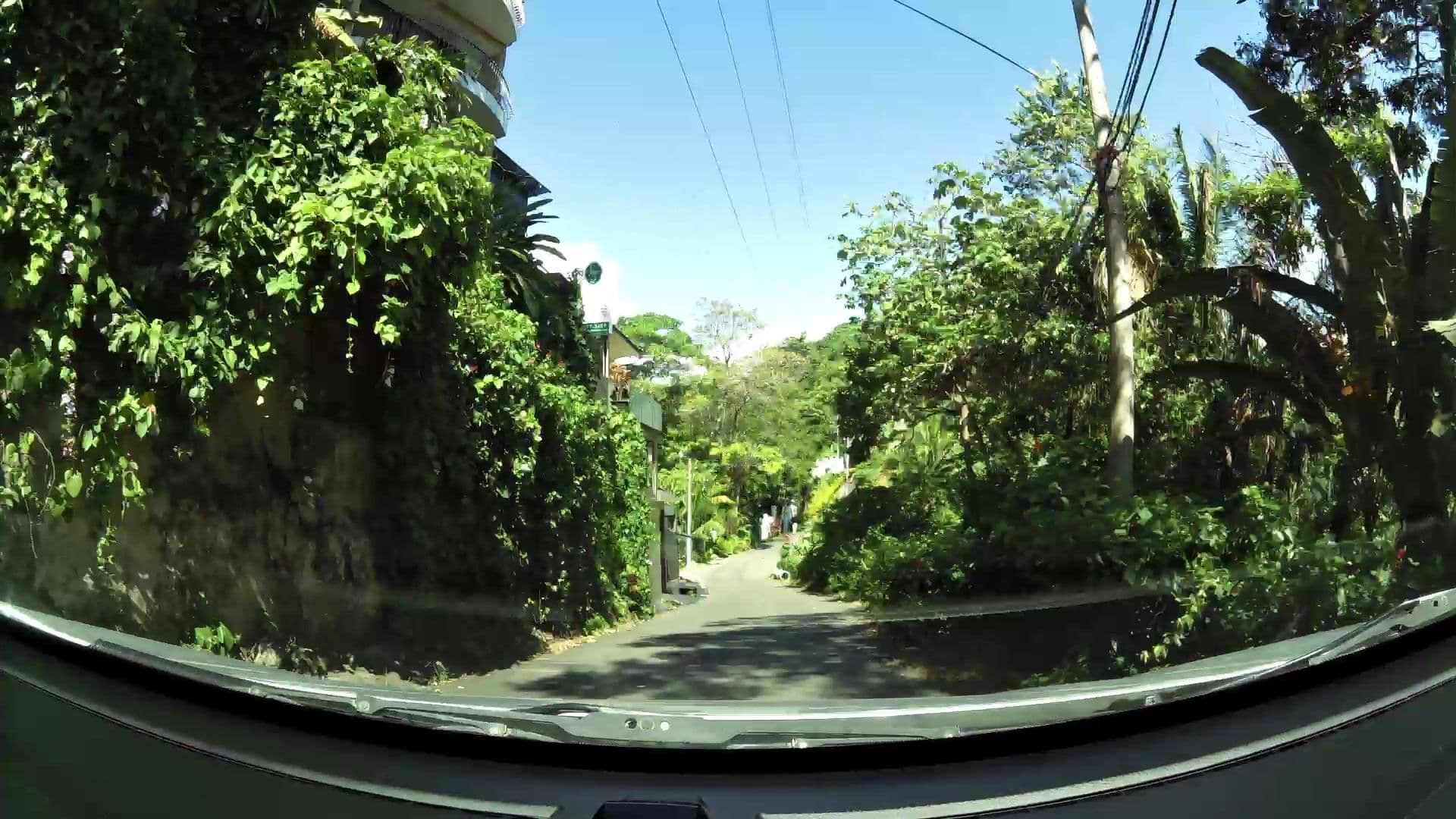 Street view near Tortuga Landing, Quepos