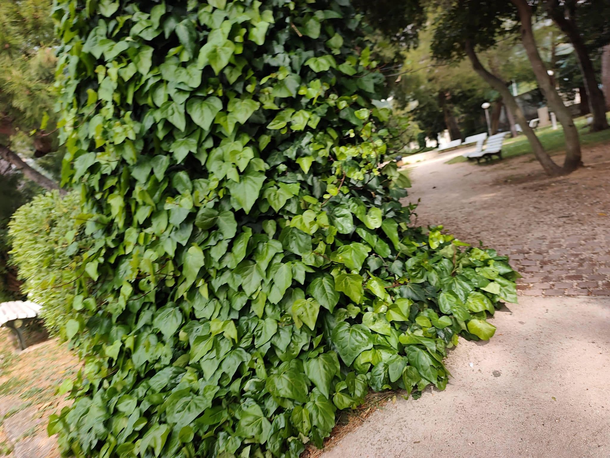 Street view near Makarska City Bay Studios, Makarska — © Duro (CC BY-SA · Mapillary)