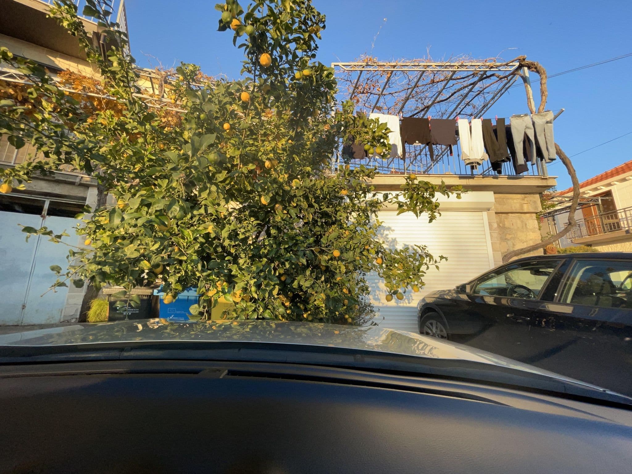 Street view near Villa Ivankovi, Cavtat — © filipb (CC BY-SA · Mapillary)