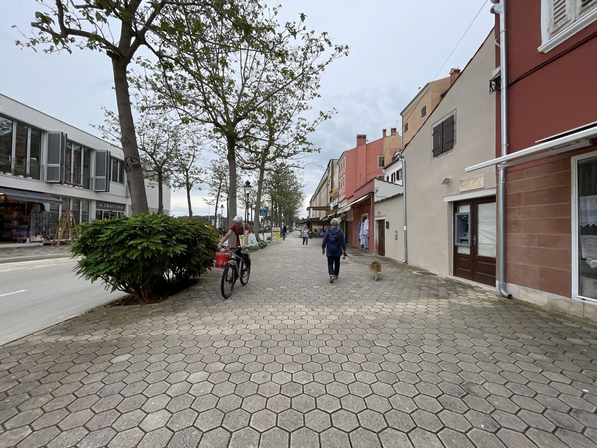 Street view near Apartman 36, Rovinj — © filipb (CC BY-SA · Mapillary)