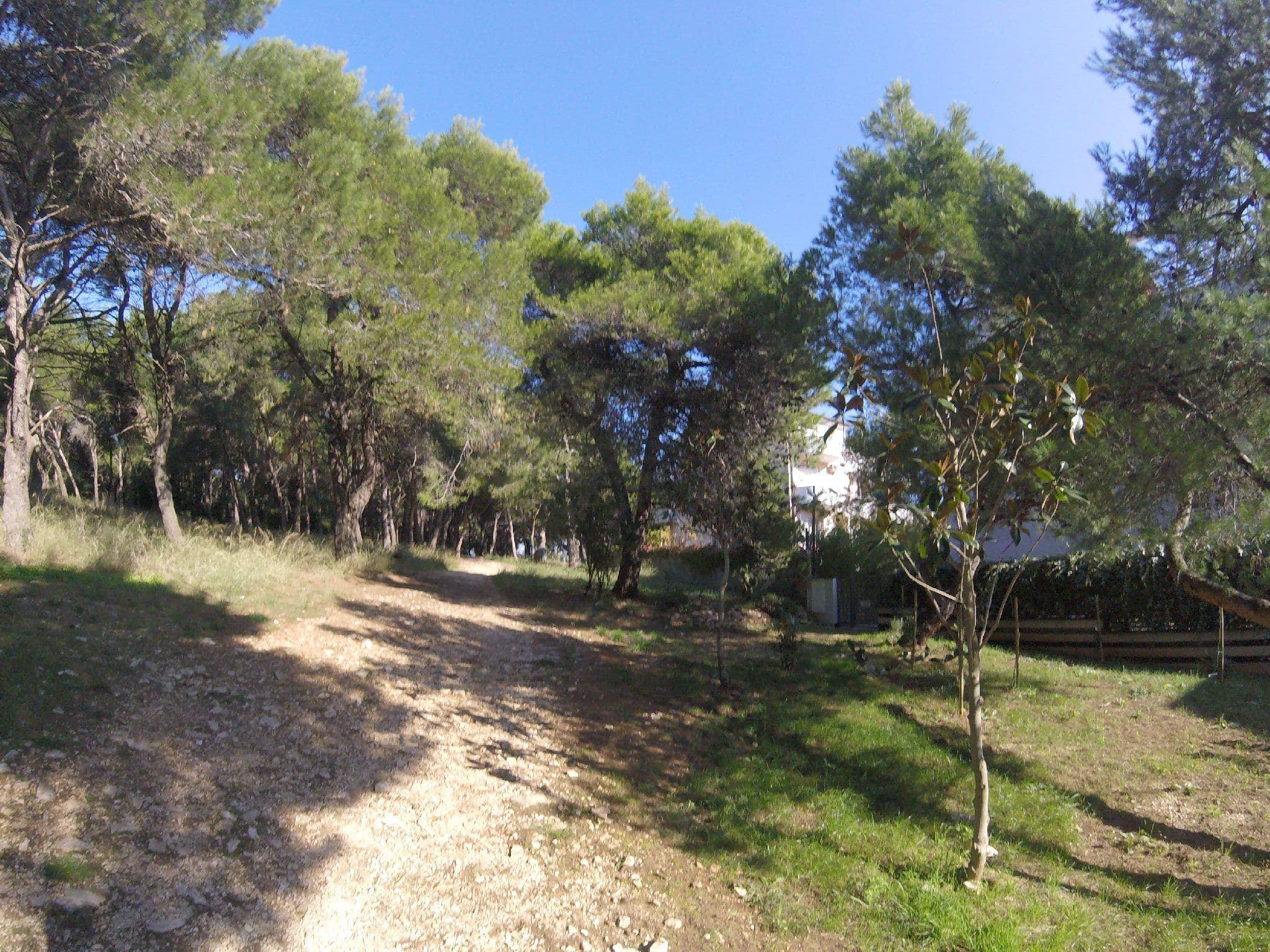 Street view near Villa Marija, Pula — © utvonalfelmeresek (CC BY-SA · Mapillary)