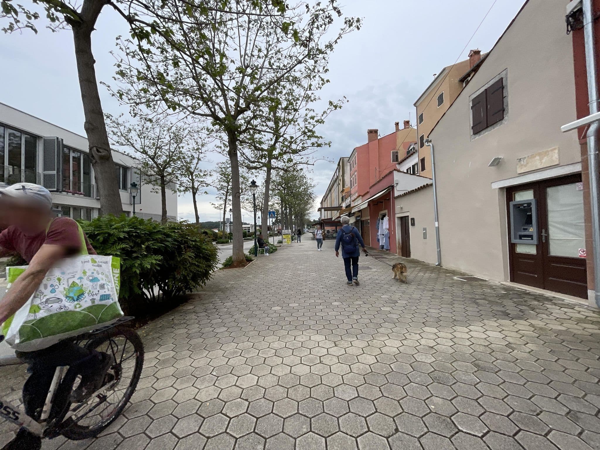 Street view near Apartment Dino, Rovinj — © filipb (CC BY-SA · Mapillary)