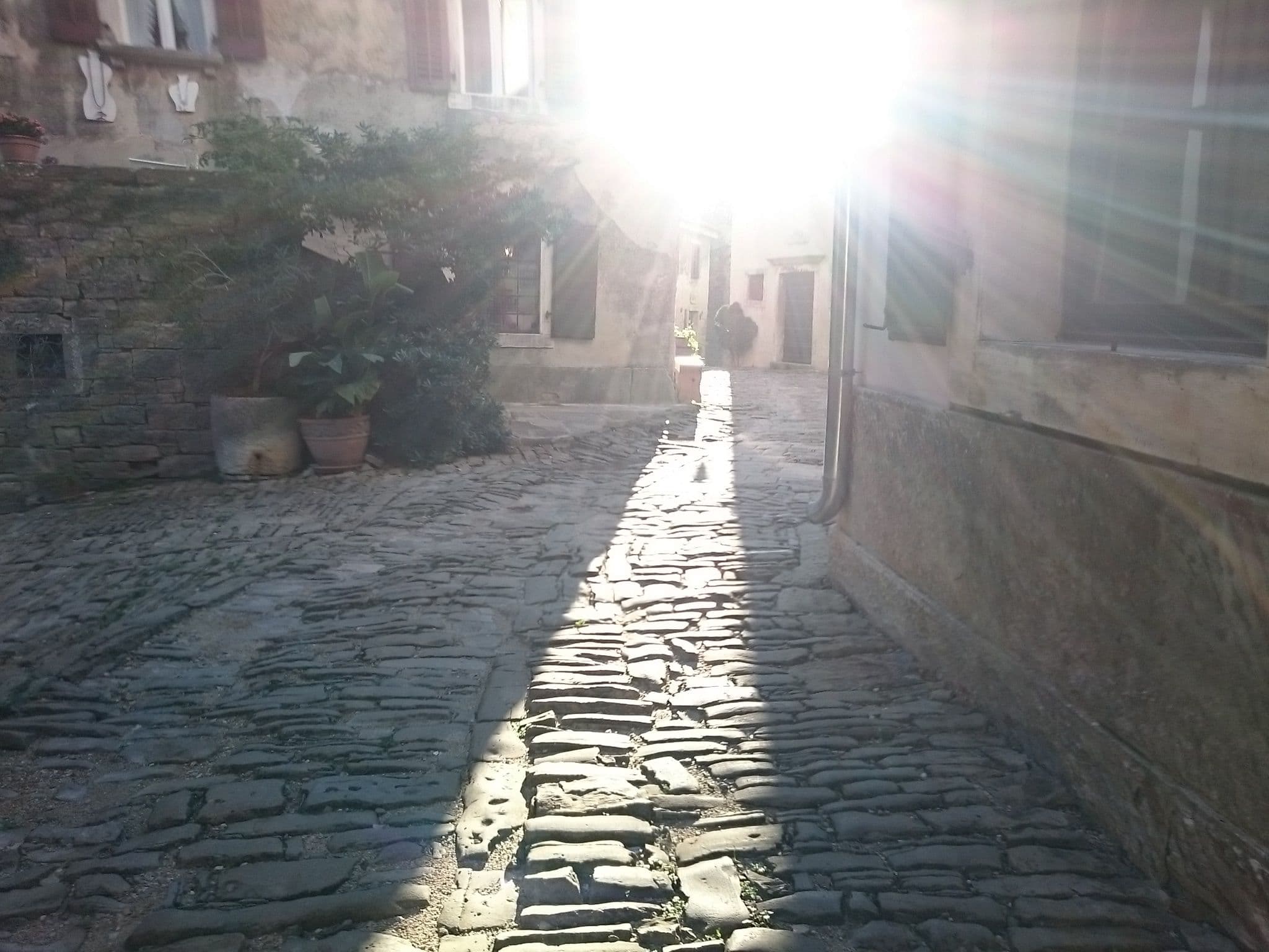 Street view near Holiday Home Daška, Buje — © voschix (CC BY-SA · Mapillary)