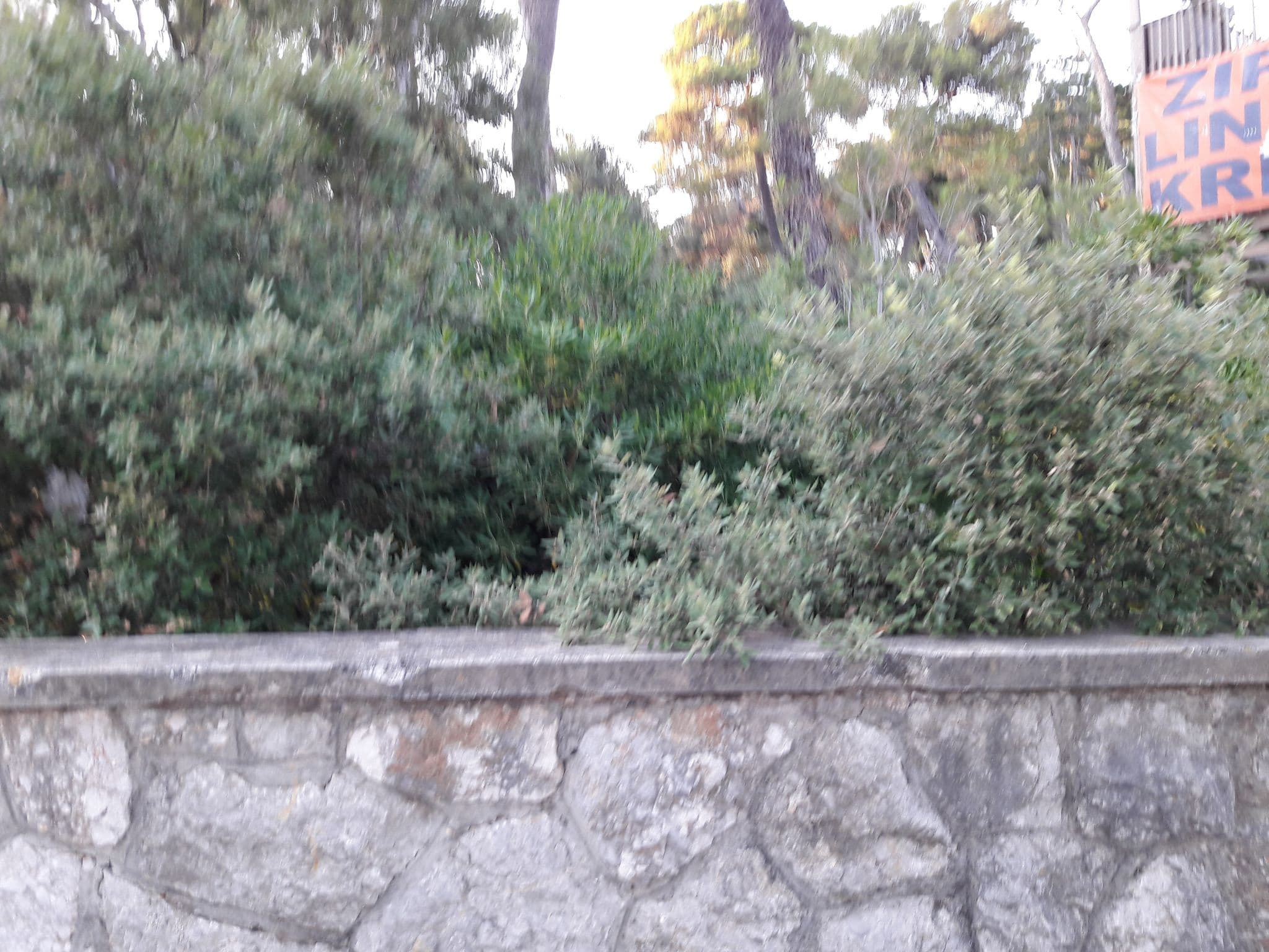 Street view near Apartments Jann, Krk — © tom44 (CC BY-SA · Mapillary)