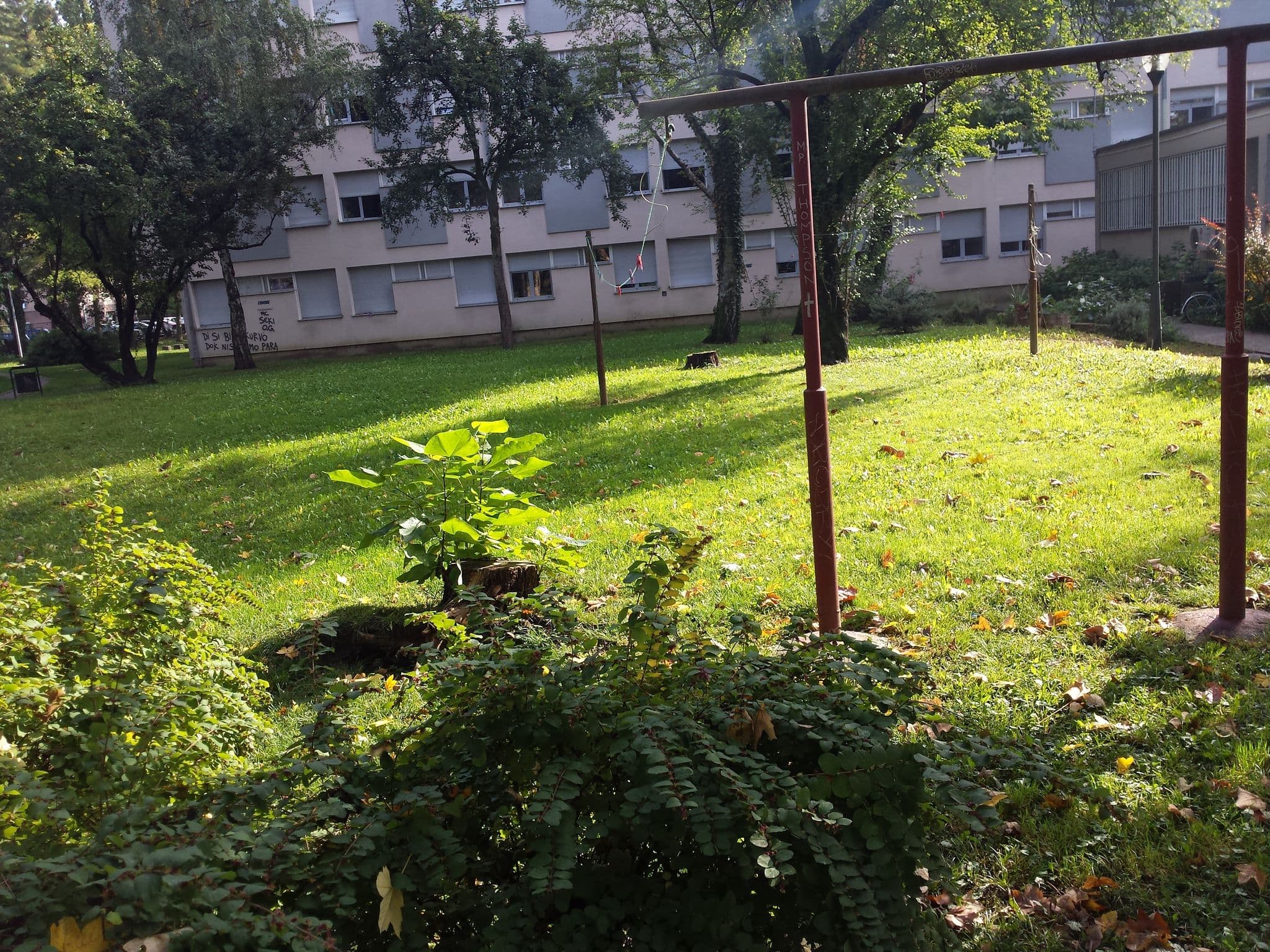 Street view near Dizzy Daisy Hostel Zagreb, Centar — © janjko (CC BY-SA · Mapillary)