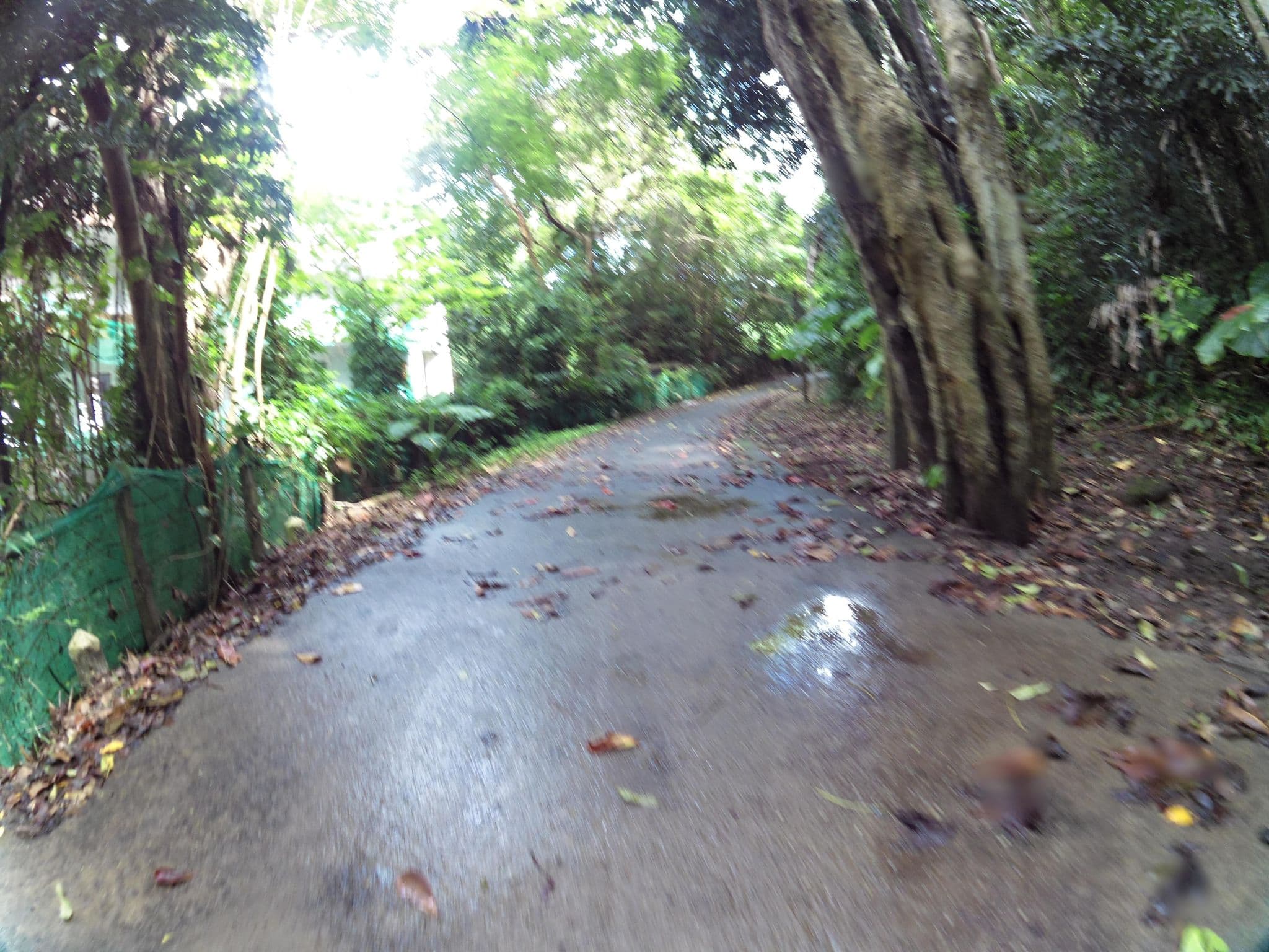Street view near Tri Trang Beach Resort, Building 5, Patong — © skillsy (CC BY-SA · Mapillary)