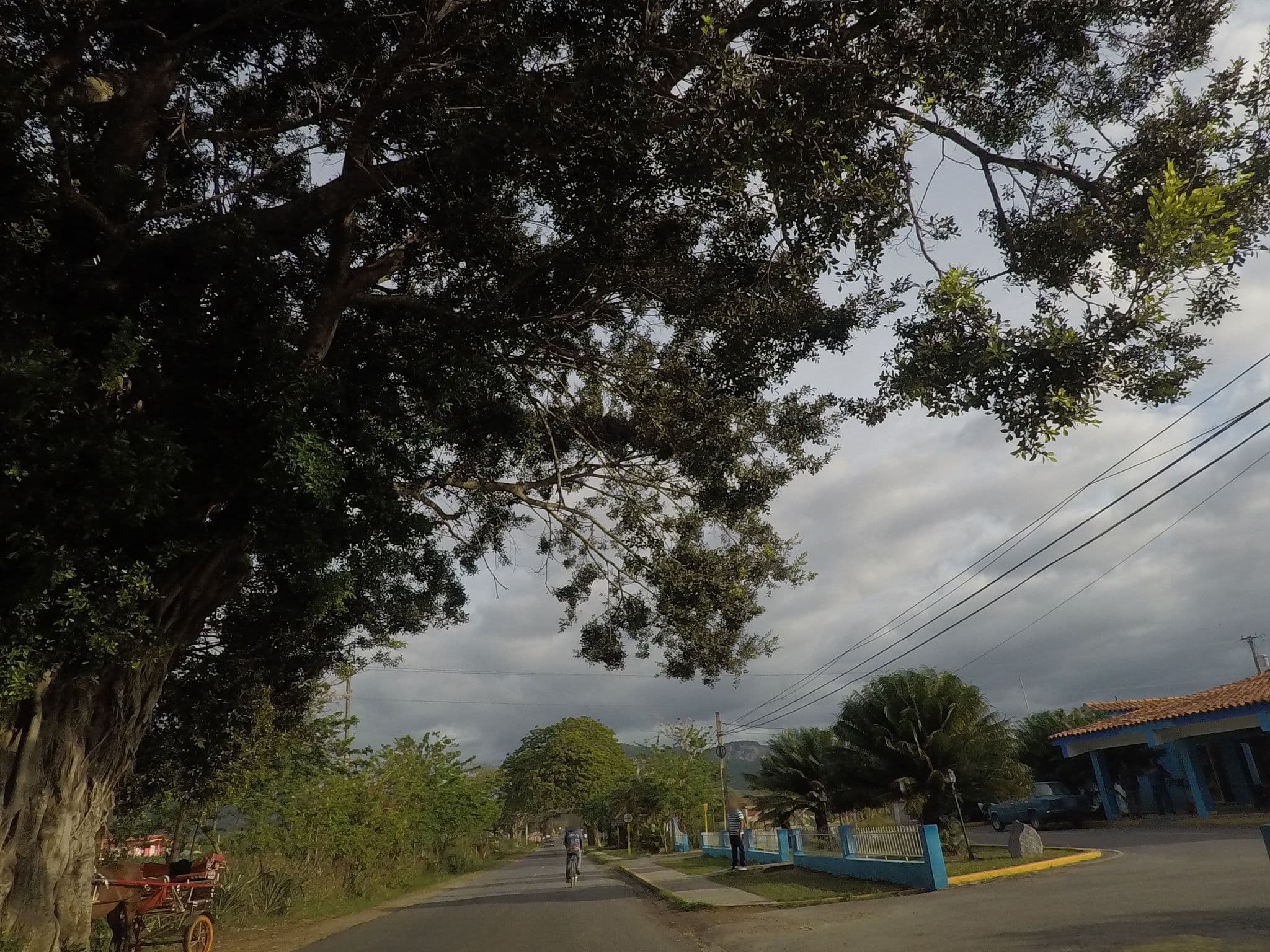 Street view near Villa El Habano, Viñales