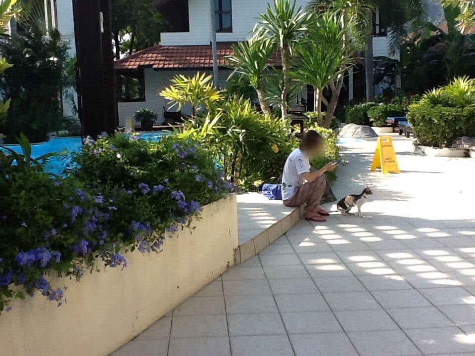 Street view near Chompoo Hostel, Ban Phru Nai — © clockwerx (CC BY-SA · Mapillary)