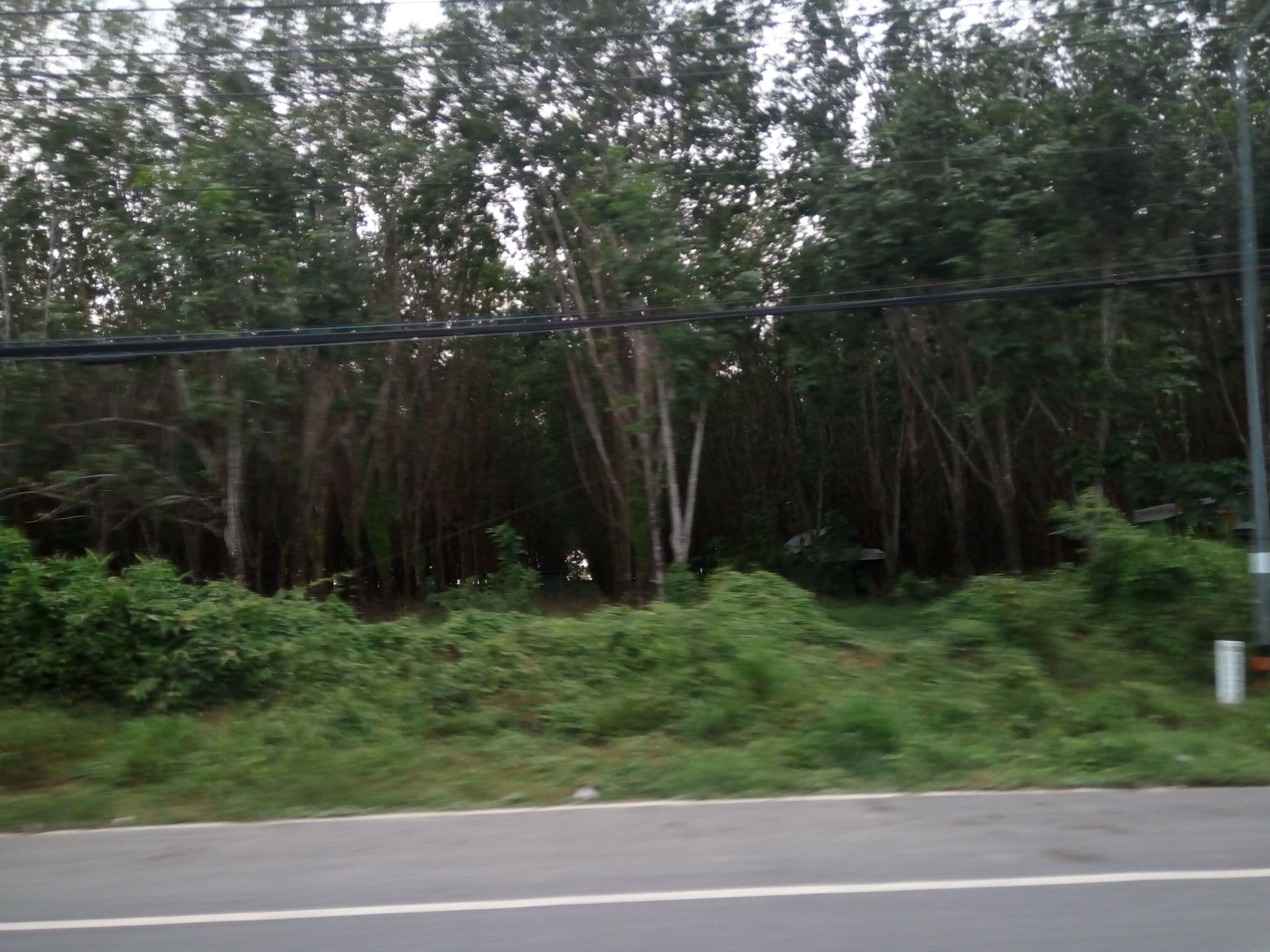 Street view near Bhukitta Hotel&Spa, Ban Talat Nua — © mapfool (CC BY-SA · Mapillary)