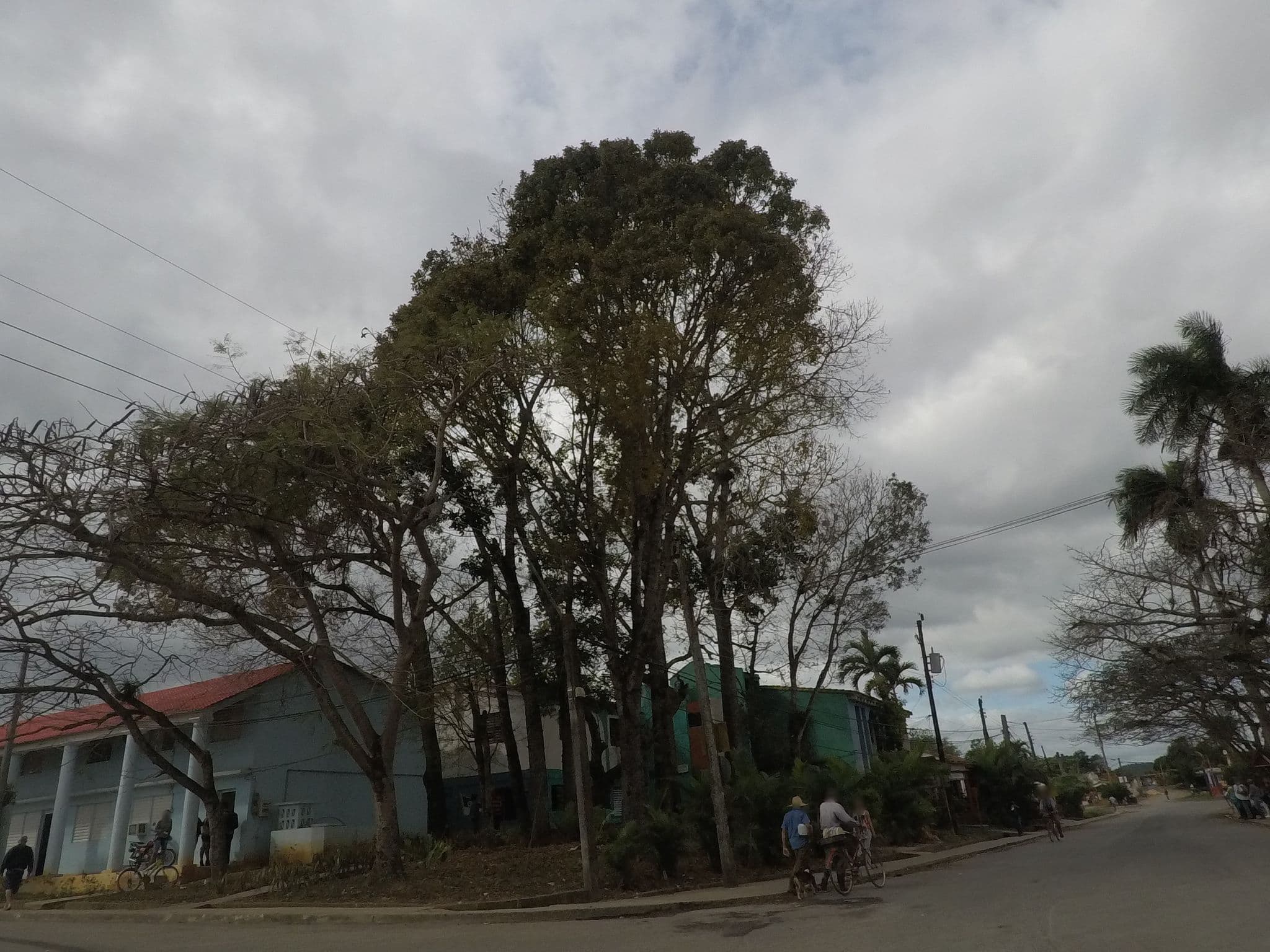 Street view near Villa Yolanda, Viñales