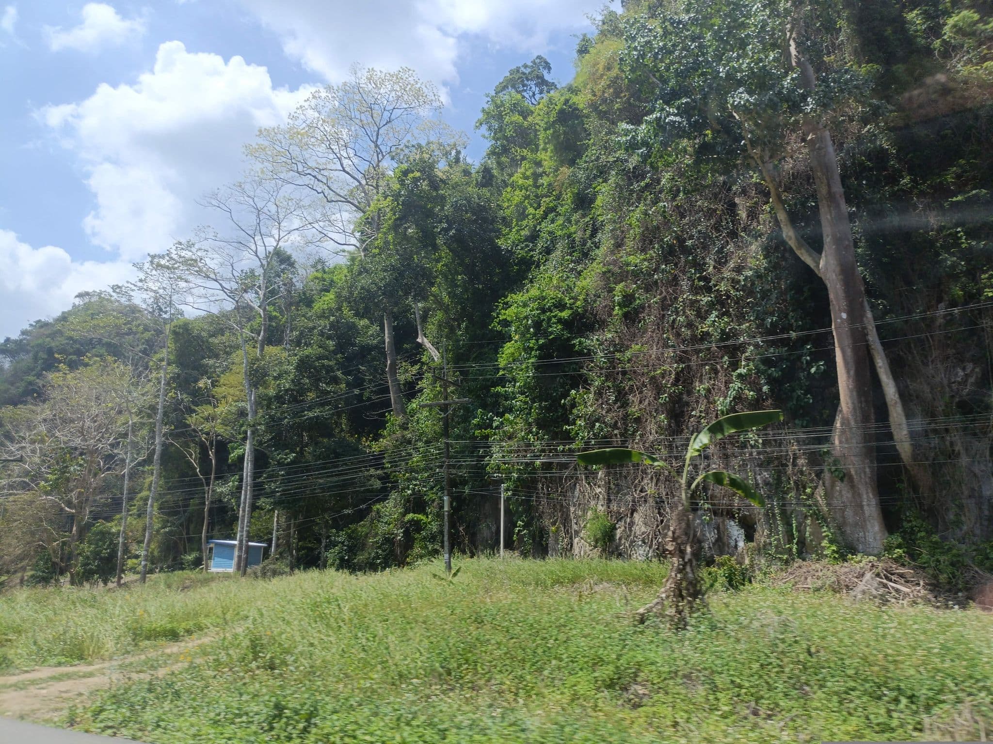Street view near khiri montra  khaosok, Tha Khanon — © skillsy (CC BY-SA · Mapillary)