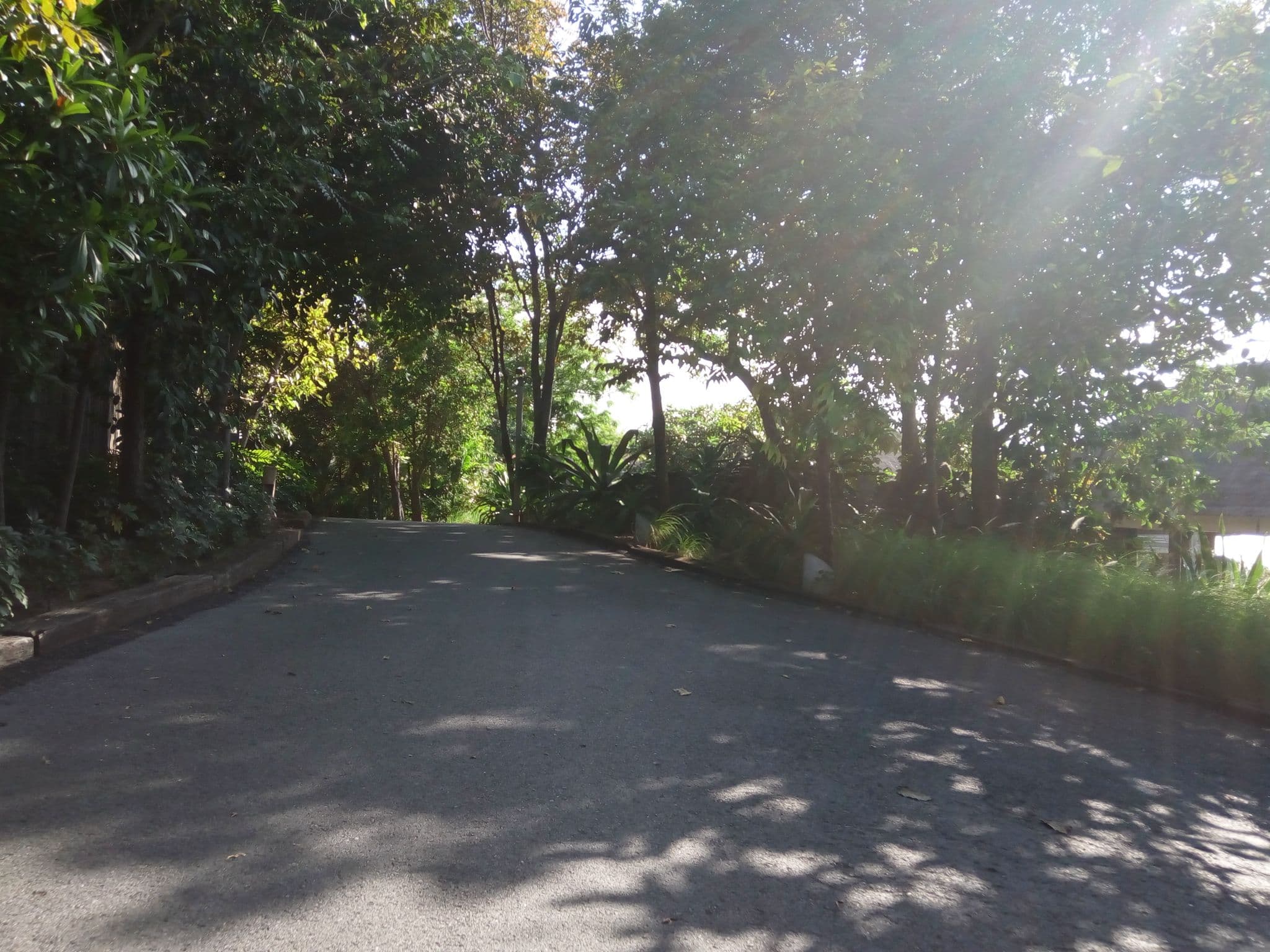 Street view near Farm On The Hill, Ko Samui — © mapfool (CC BY-SA · Mapillary)