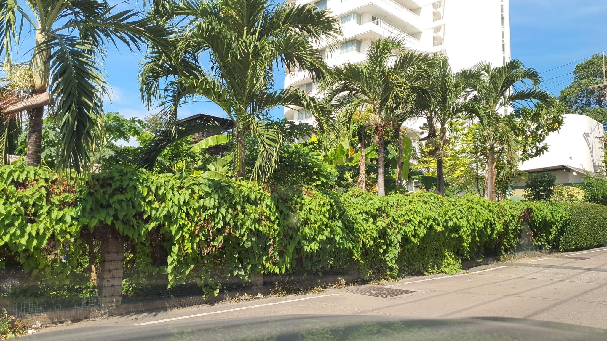 Street view near บ้านริมผา พัทยา, Pattaya — © jrcarlsen (CC BY-SA · Mapillary)