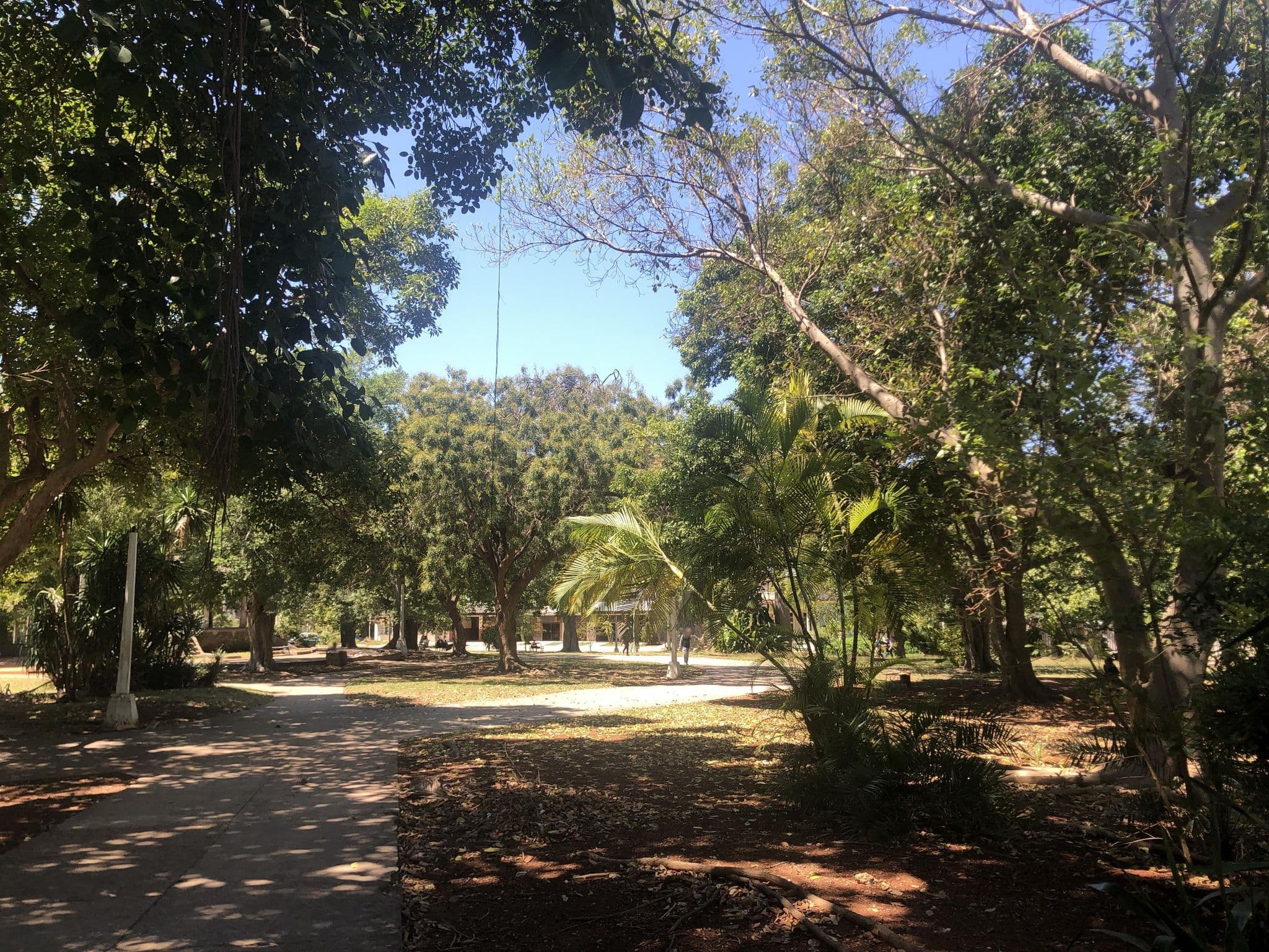 Street view near Habana Loft 1, Vedado — © fsobczak (CC BY-SA · Mapillary)