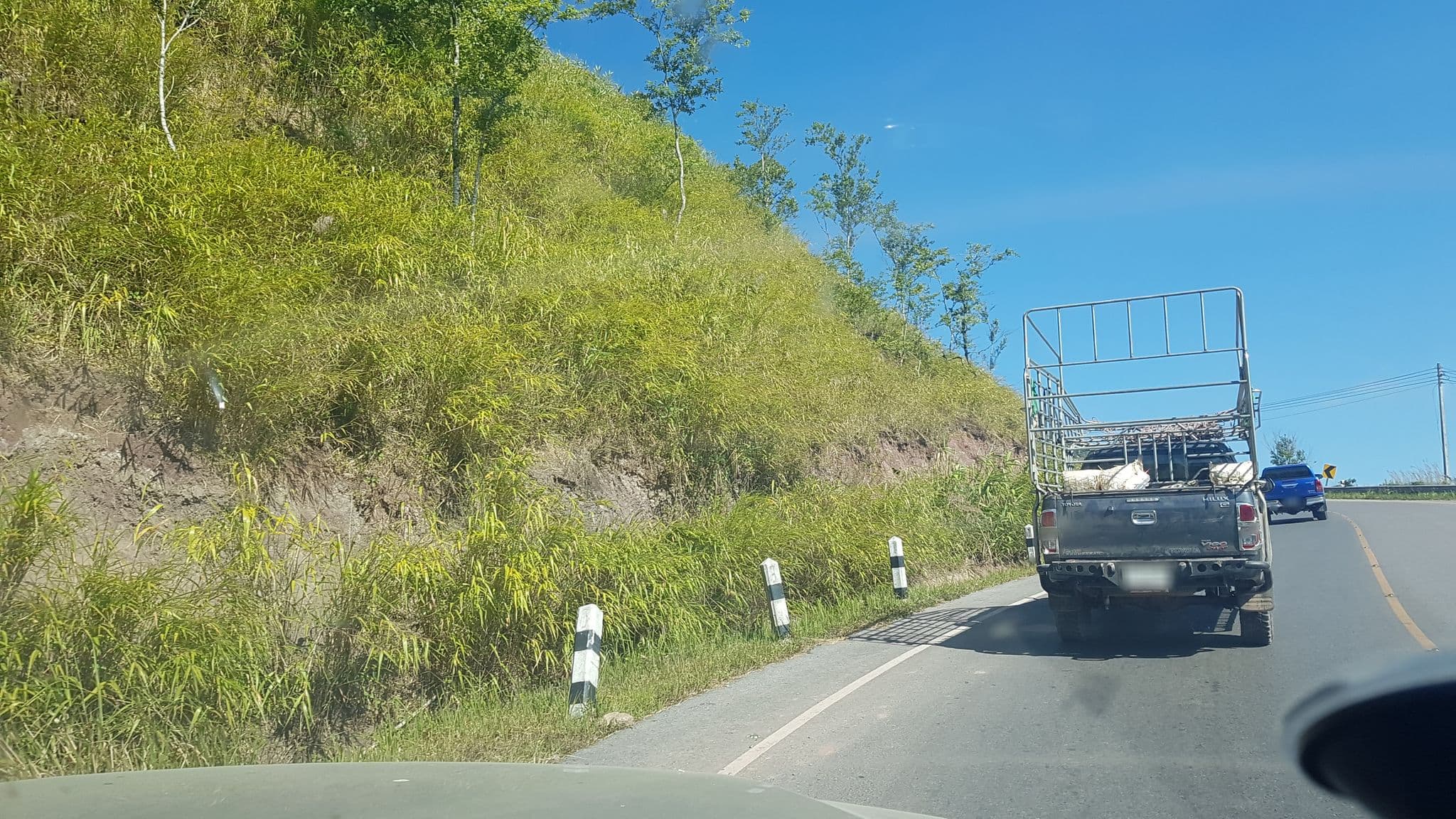 Street view near กอดหมอก ภูทับเบิก รีสอร์ท, Lom Sak — © igorzo (CC BY-SA · Mapillary)