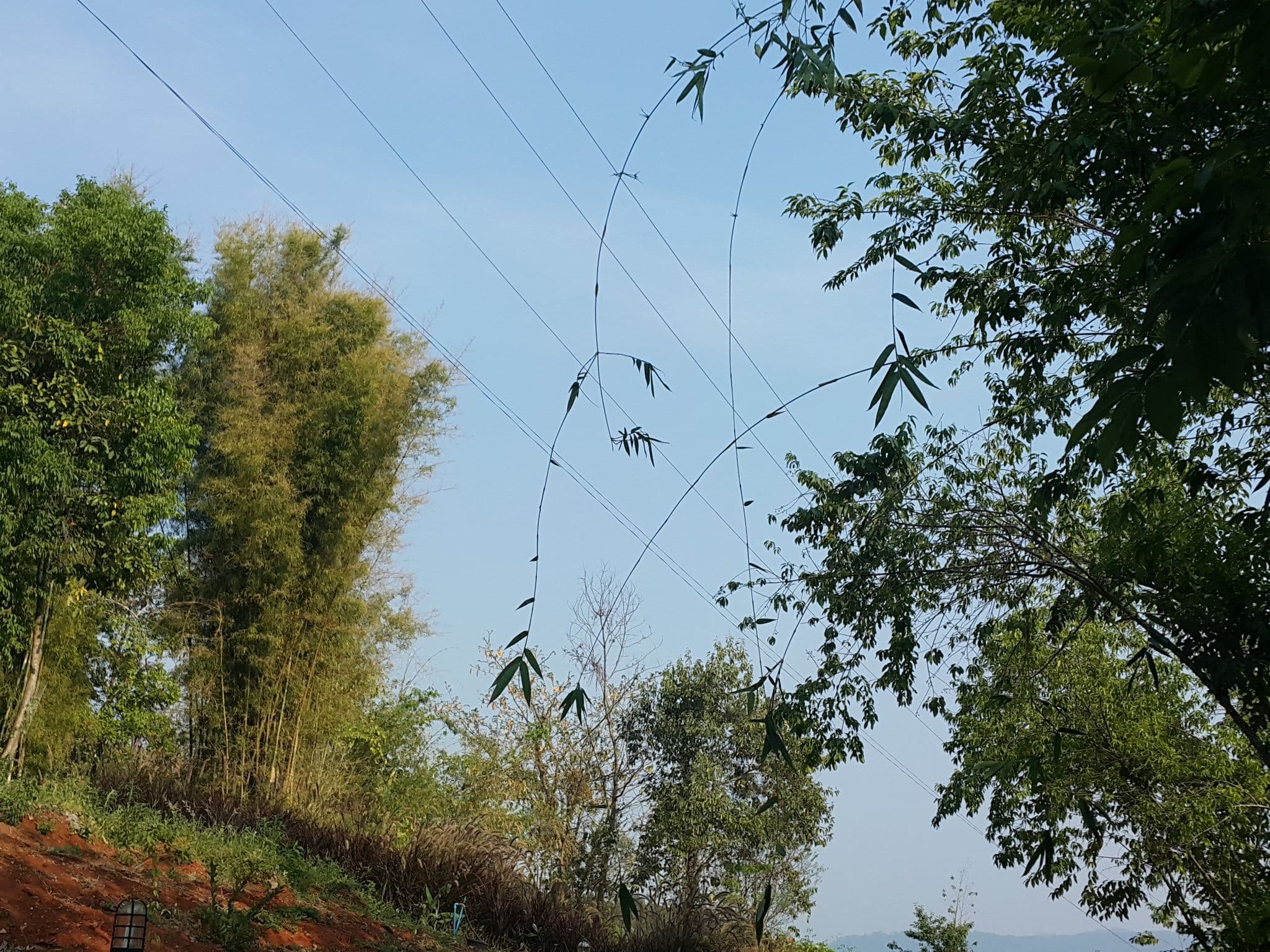 Street view near MAKO Hill มาโก ฮิลล์, Chiang Mai — © jrcarlsen (CC BY-SA · Mapillary)