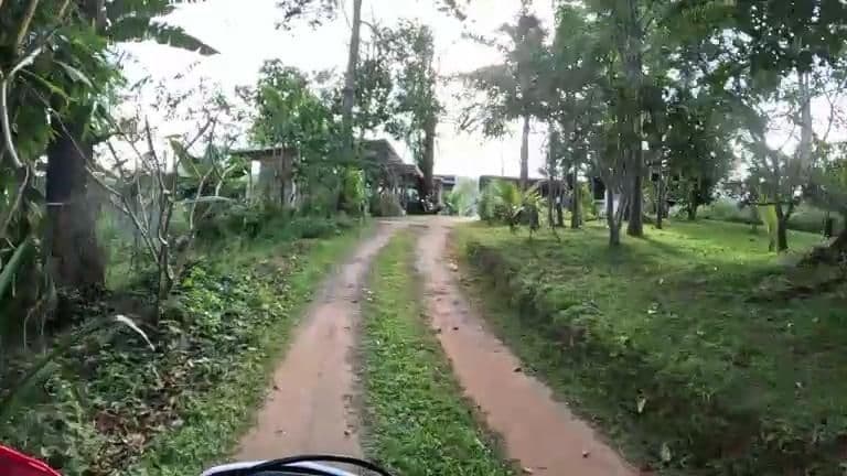 Street view near สวนส้มมีจีรกุล & Mee Coffee, Pai — © julcnx (CC BY-SA · Mapillary)