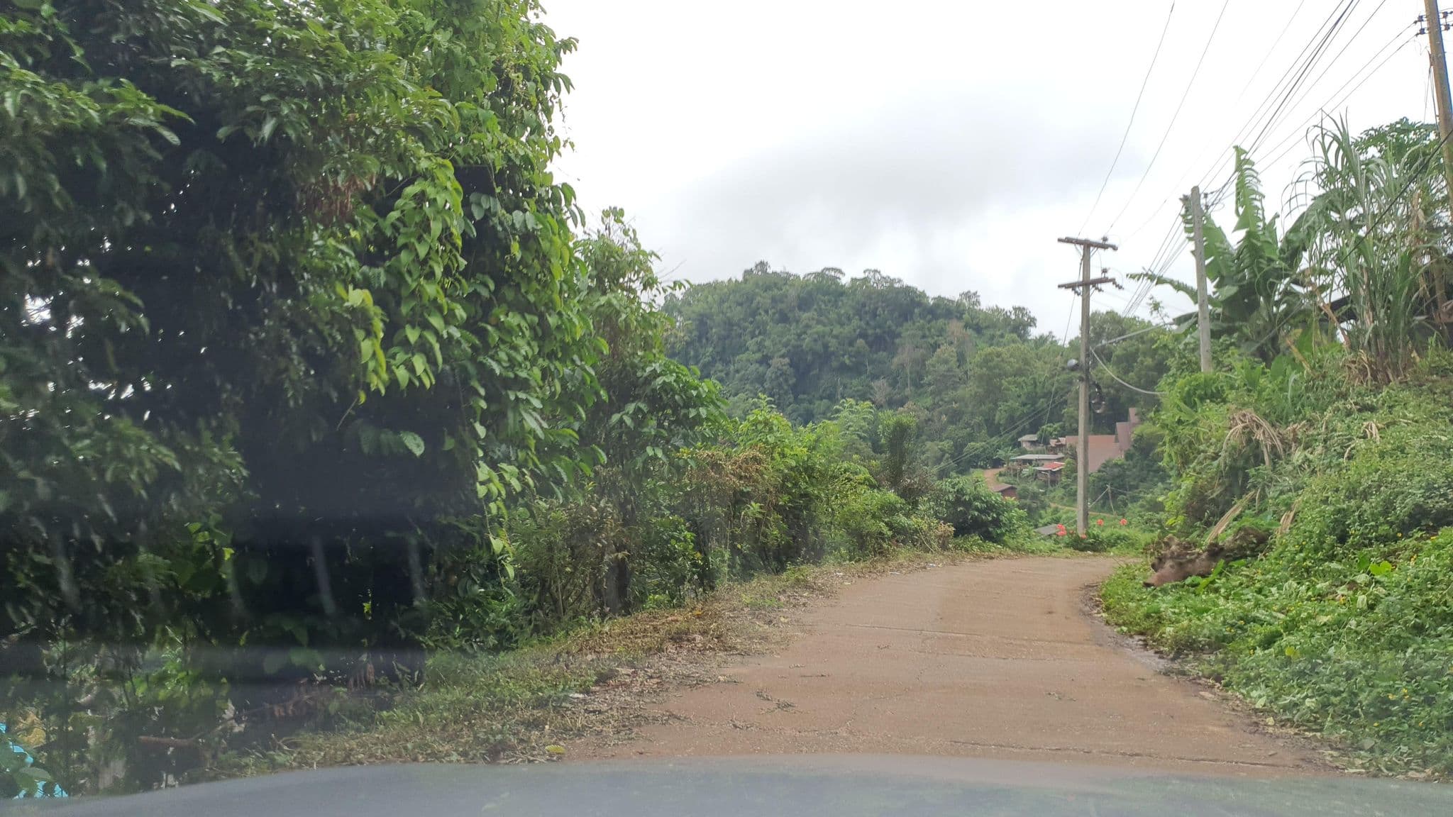 Street view near Avocado House บ้านอโวคาโด, Ban Mae Waen — © jrcarlsen (CC BY-SA · Mapillary)